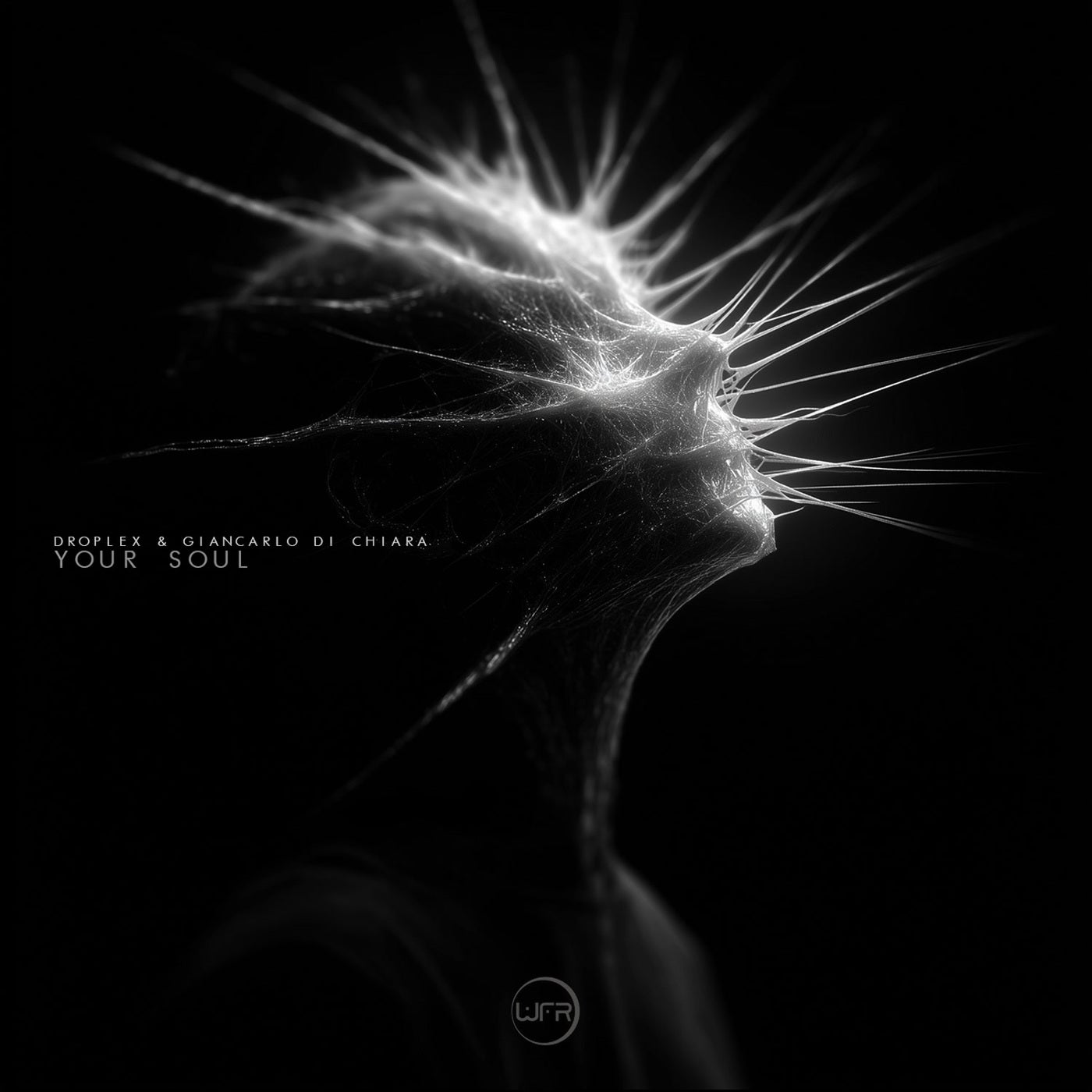 Cover - Droplex, Giancarlo Di Chiara - Your Soul (Original Mix)