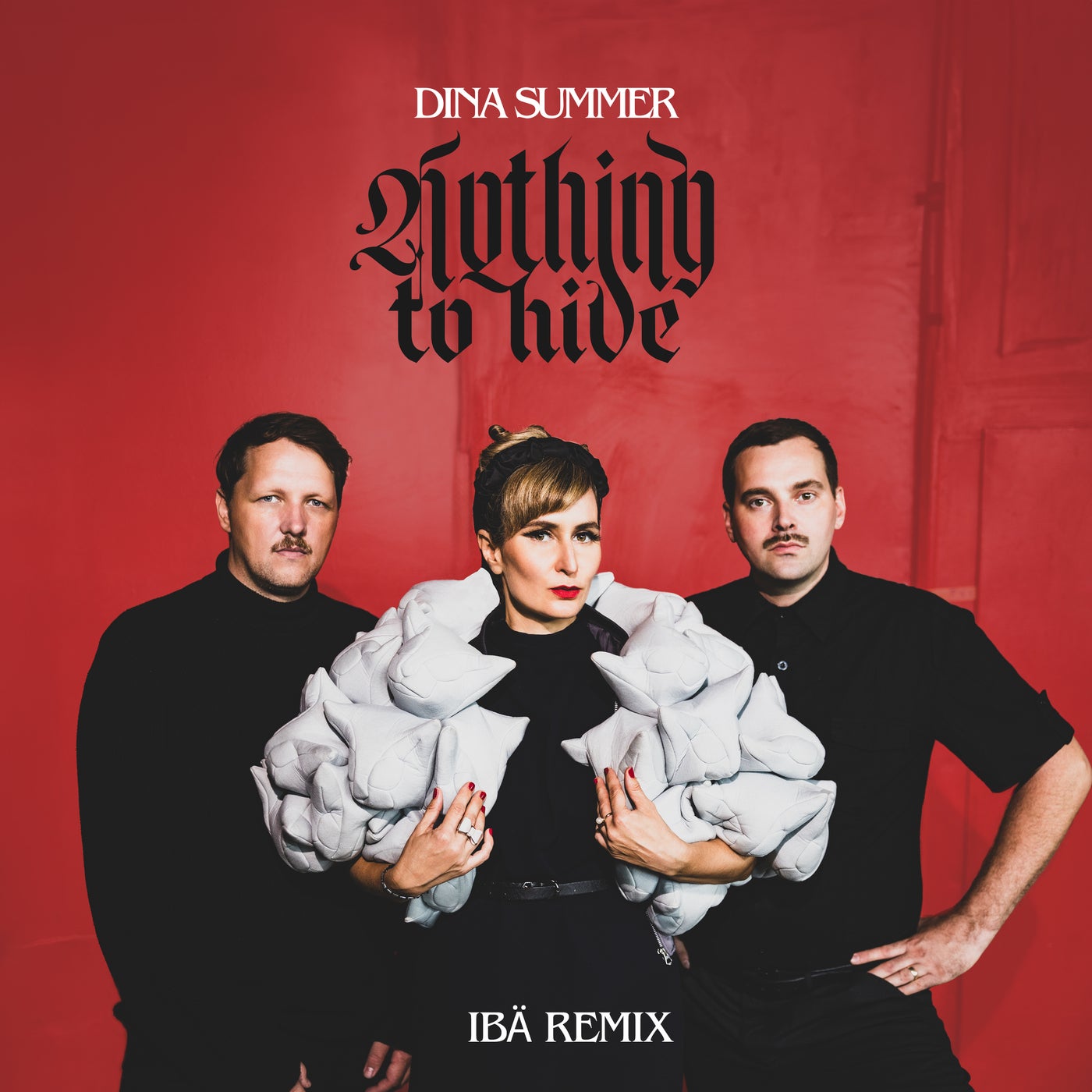 Cover - Dina Summer - Nothing To Hide (Ibä Remix)