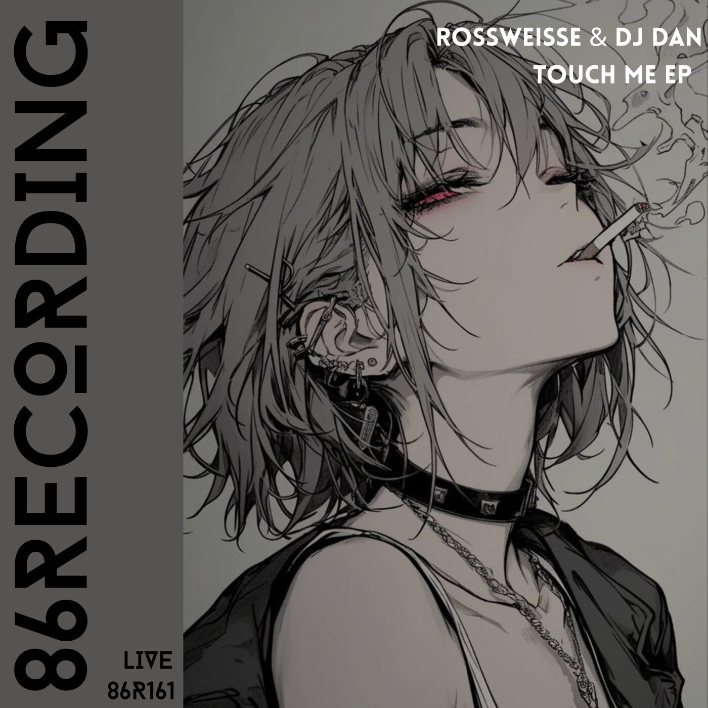 Cover - DJ Dan, Rossweisse - Touch Me (Original Mix)