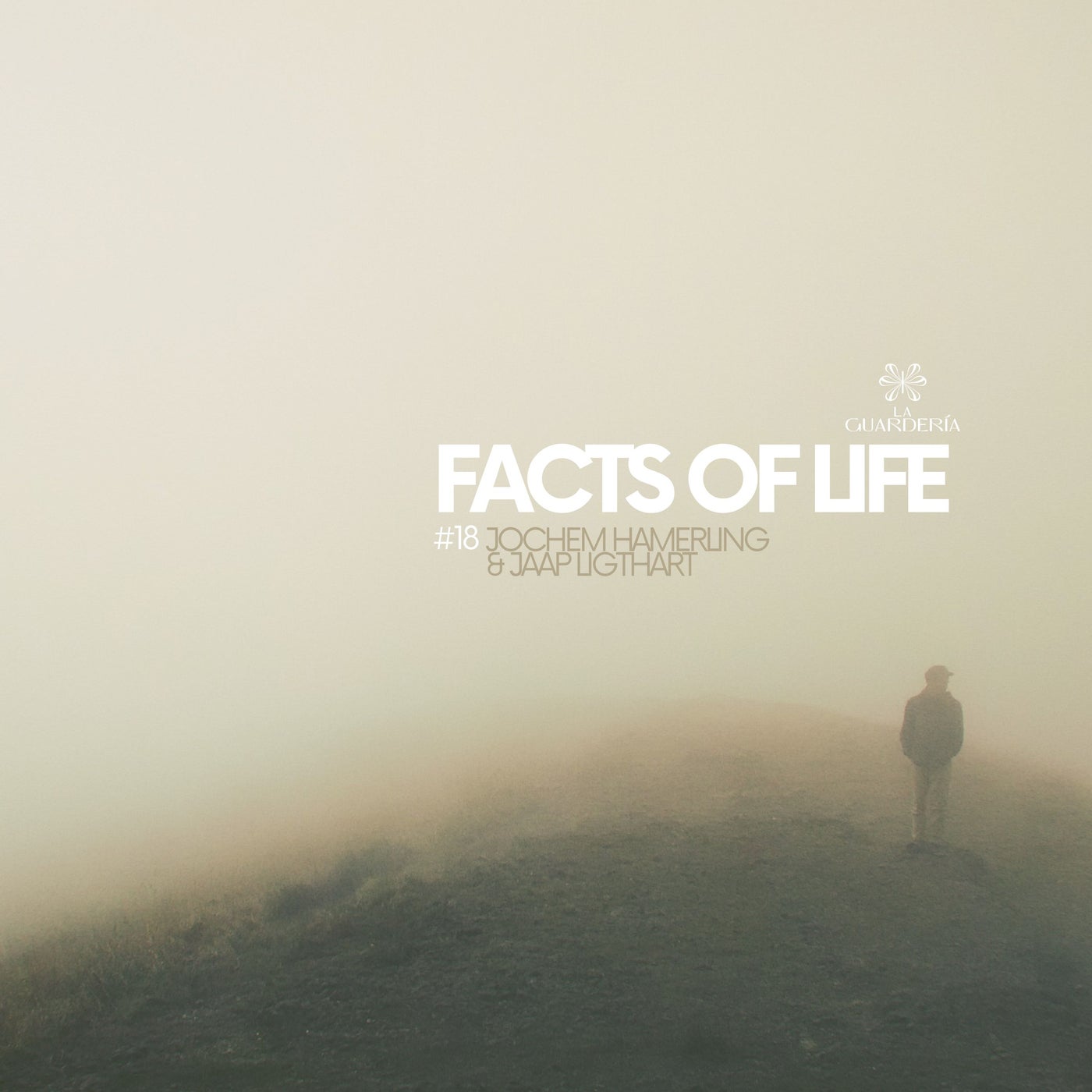 Cover - Jaap Ligthart, Jochem Hamerling - Facts Of Life (Original Mix)