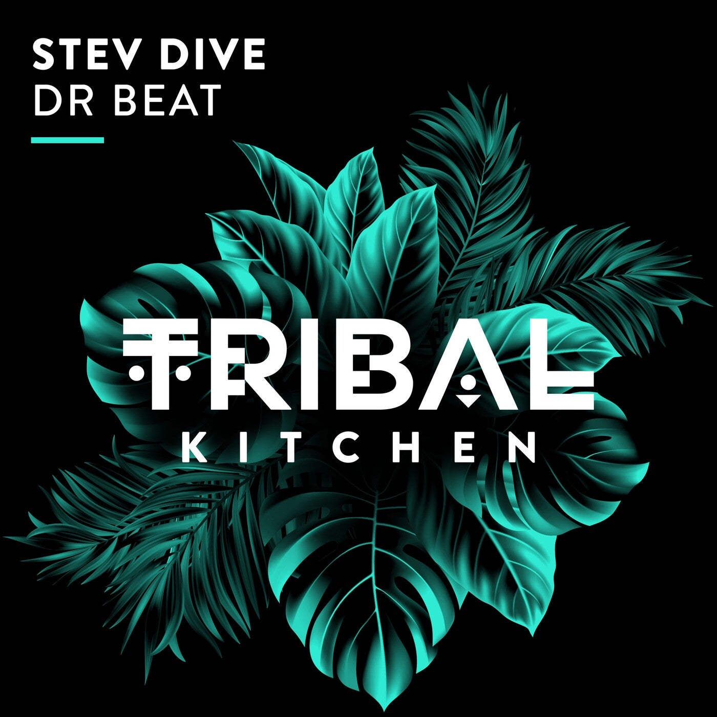Cover - Stev Dive - Dr Beat (Extended Mix)