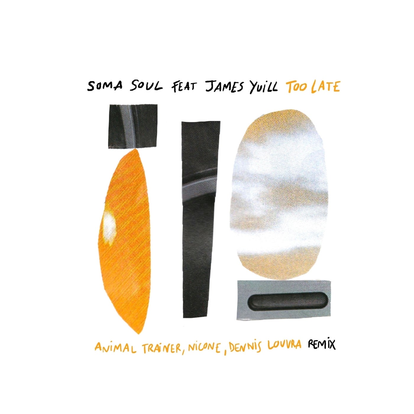 Cover - Soma Soul - Too Late feat. James Yuill (Animal Trainer Remix)