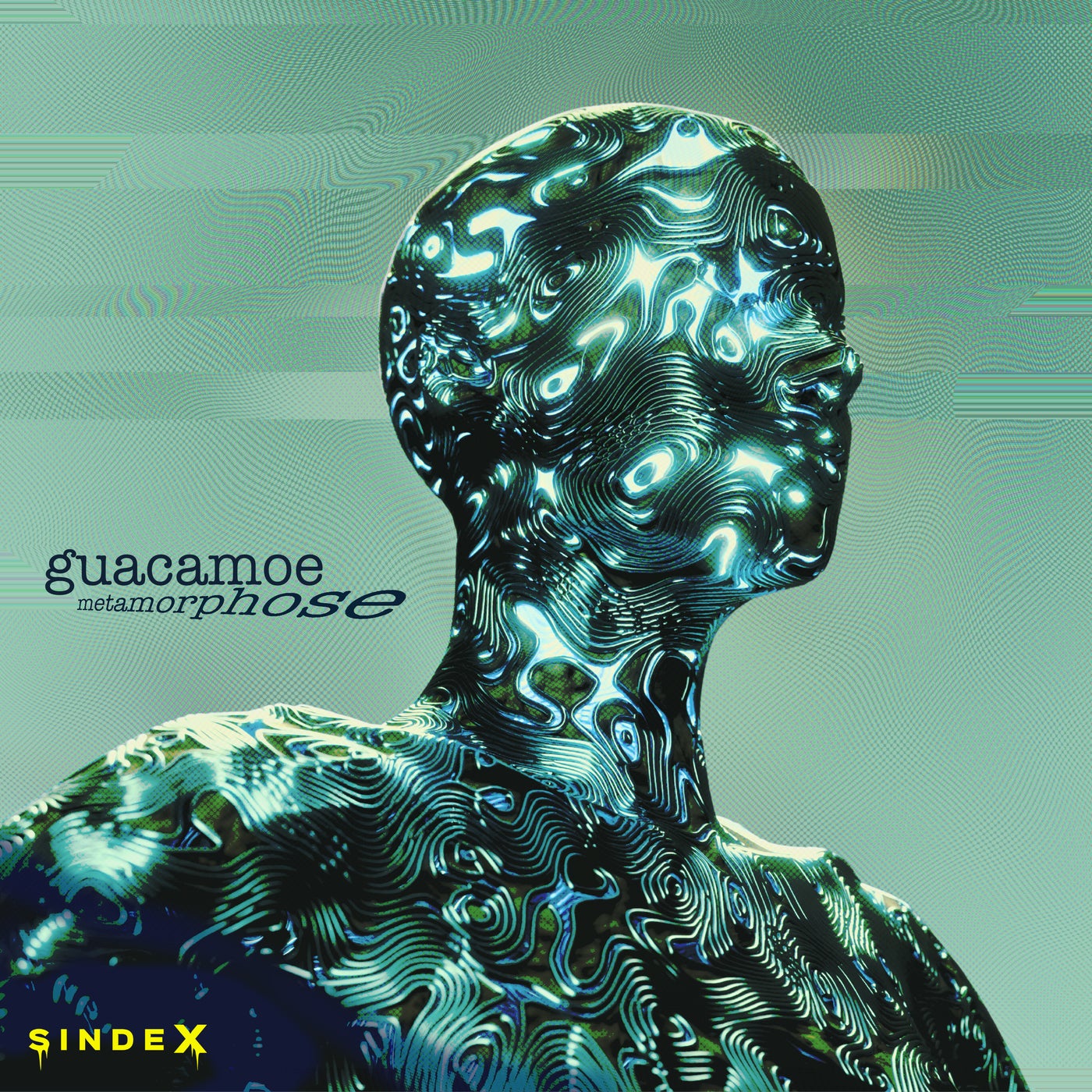 Cover - Guacamoe - Metamorphose (Original Mix)