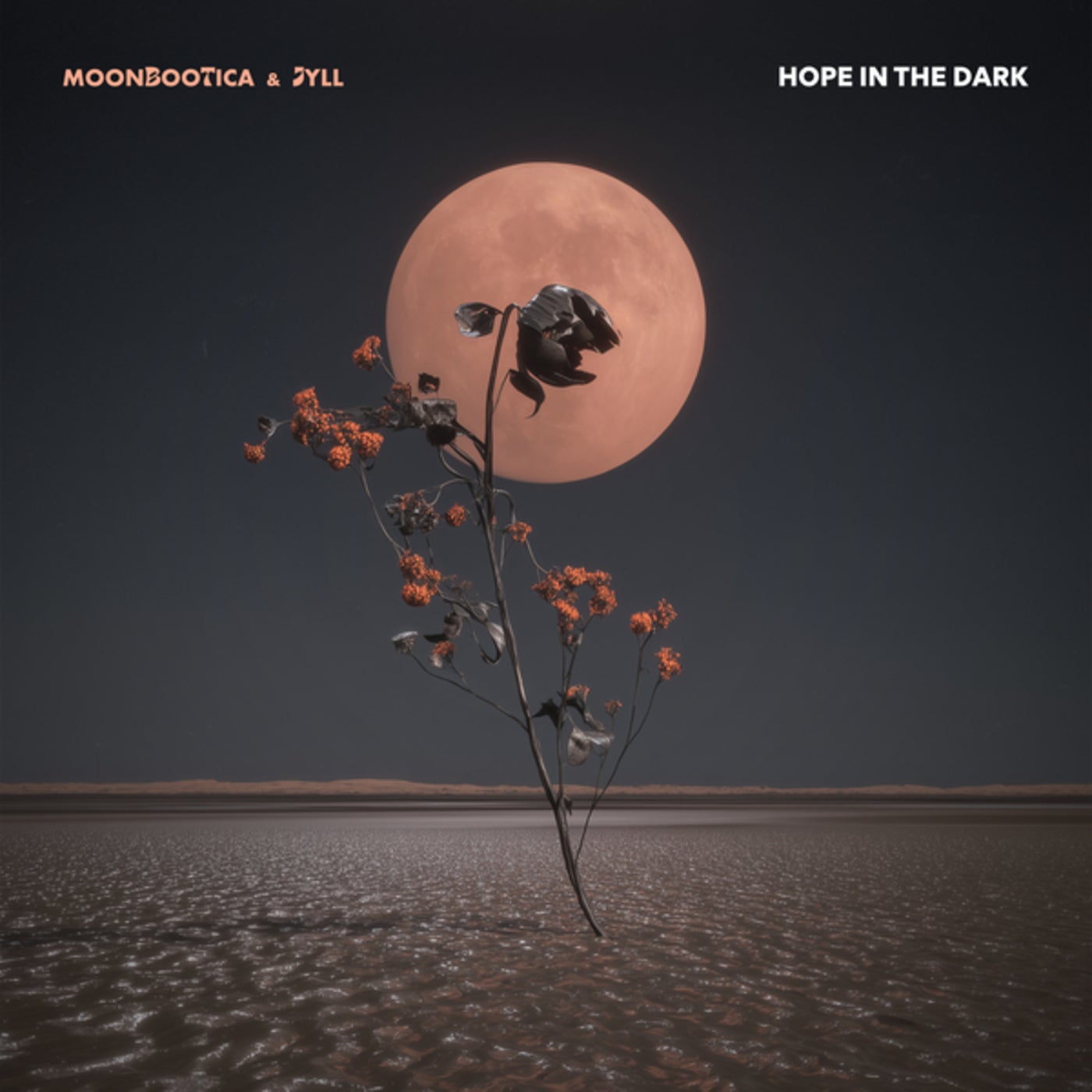 Cover - Moonbootica, Jyll - Hope In The Dark (Extended Mix)