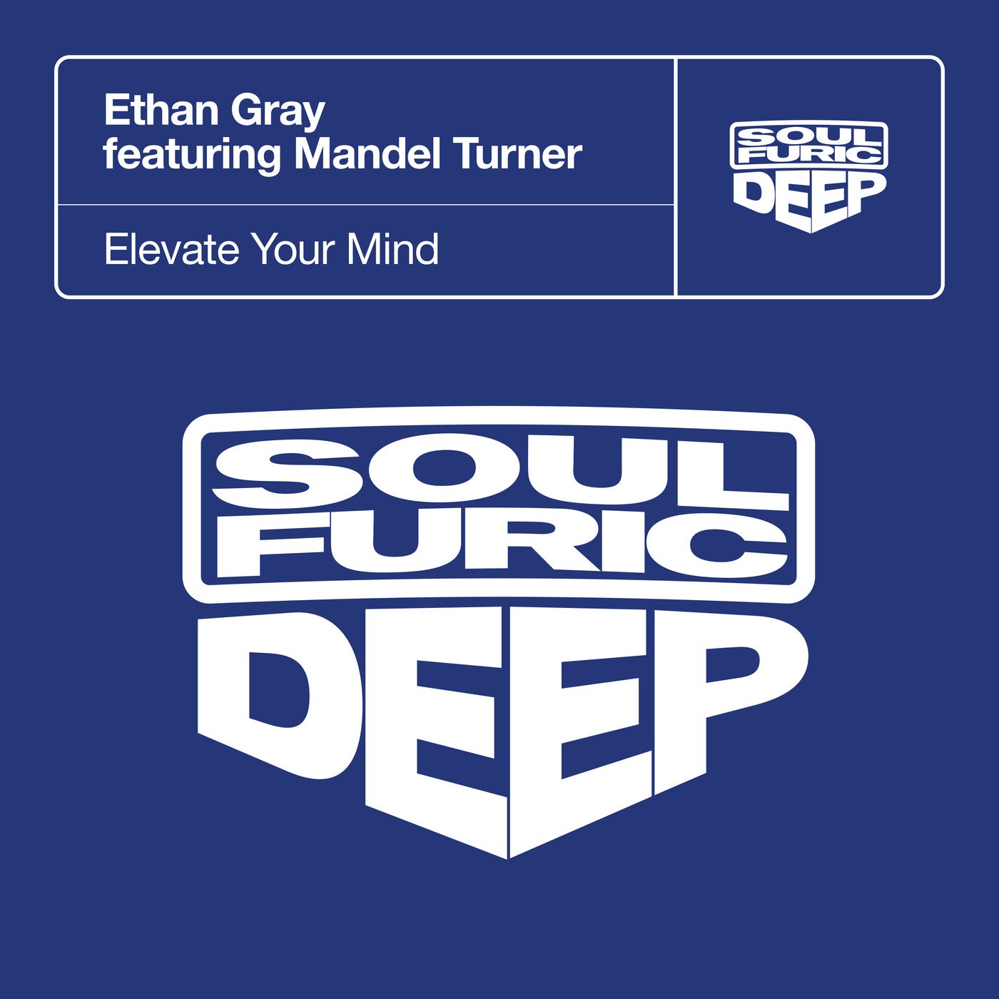 Cover - Mandel Turner, Ethan Gray - Elevate Your Mind feat. Mandel Turner (Extended Mix)