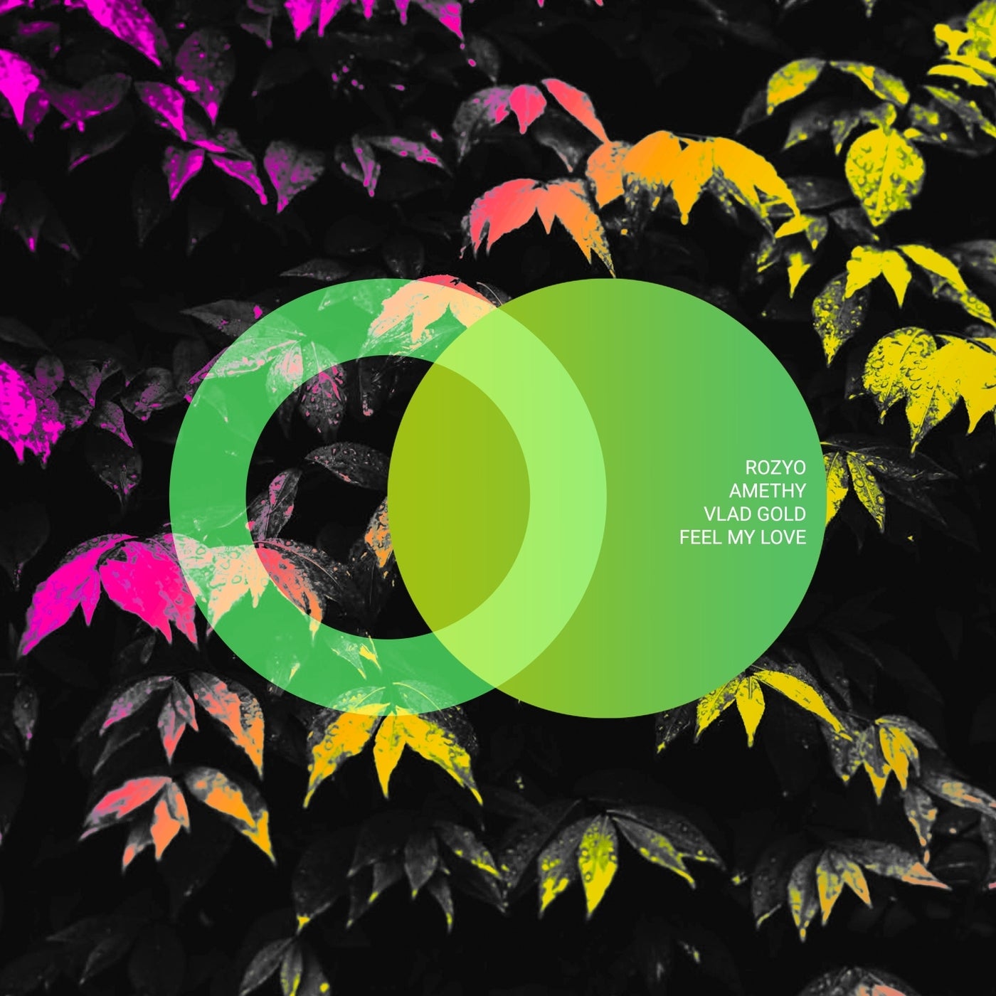 Cover - Vlad Gold, ROZYO - Orbis (Original Mix)