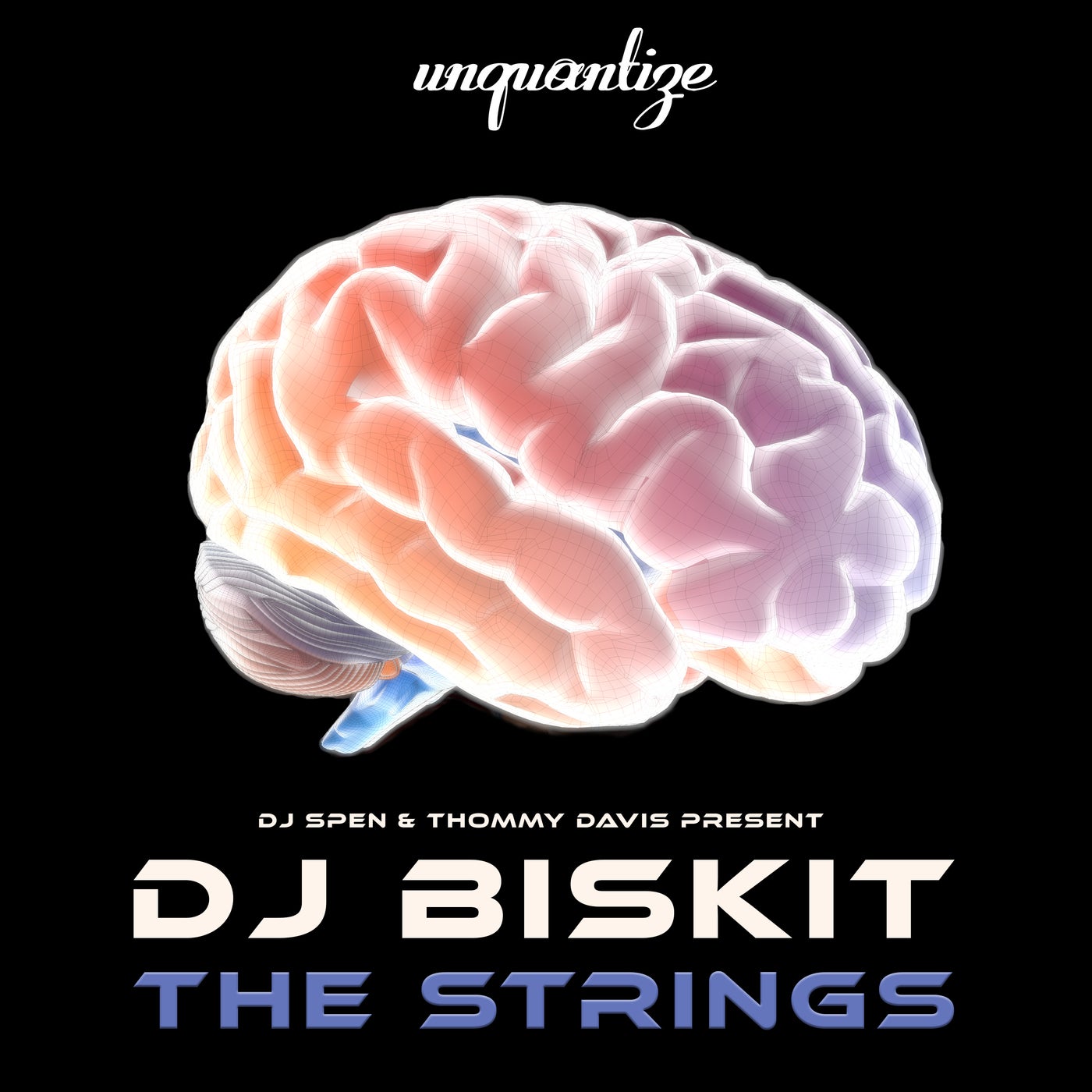 Cover - DJ Biskit - The Strings (DJ Spen & Gary Hudgins Remix)
