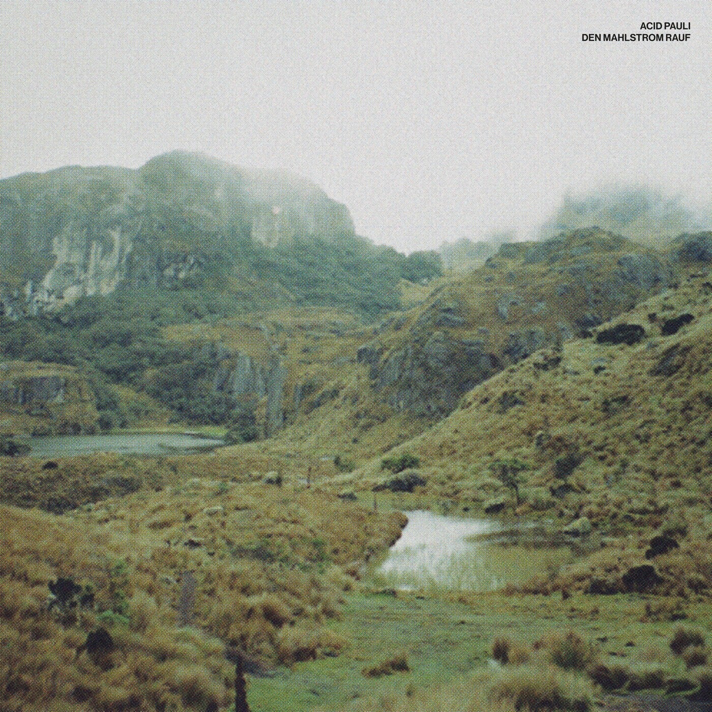 Cover - Acid Pauli - Den Mahlstrom rauf (Adiel Remix)