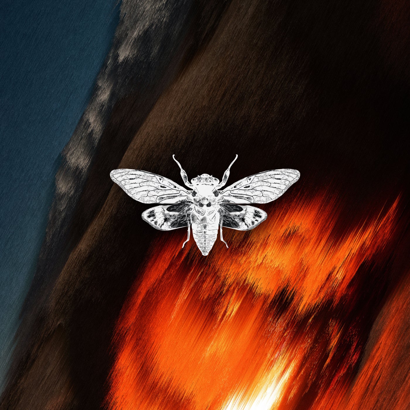 Cover - Fran Fernandez - Trying to Explain (Original Mix)