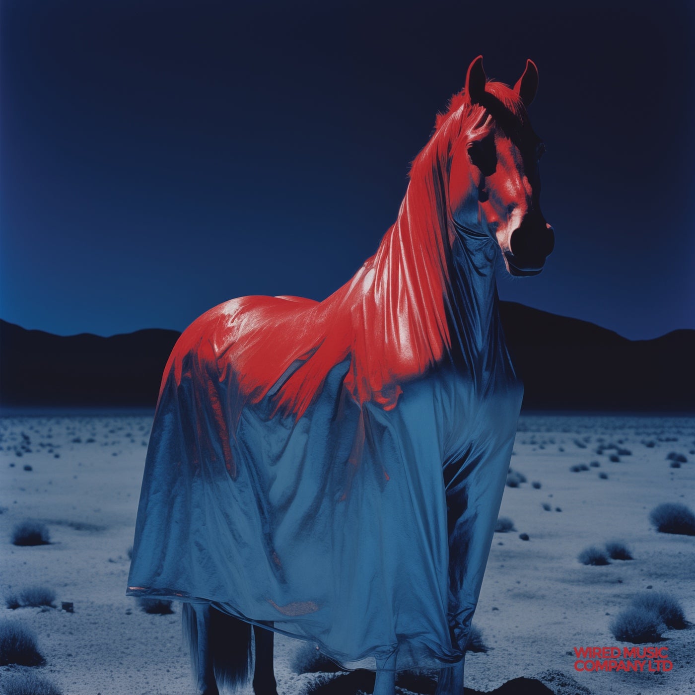 Cover - CARRASCO (US) - Tiempo Contado (Original Mix)