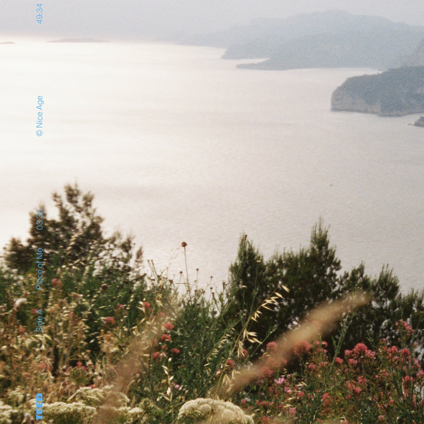 Cover - TEED - Piece Of Me (Original Mix)