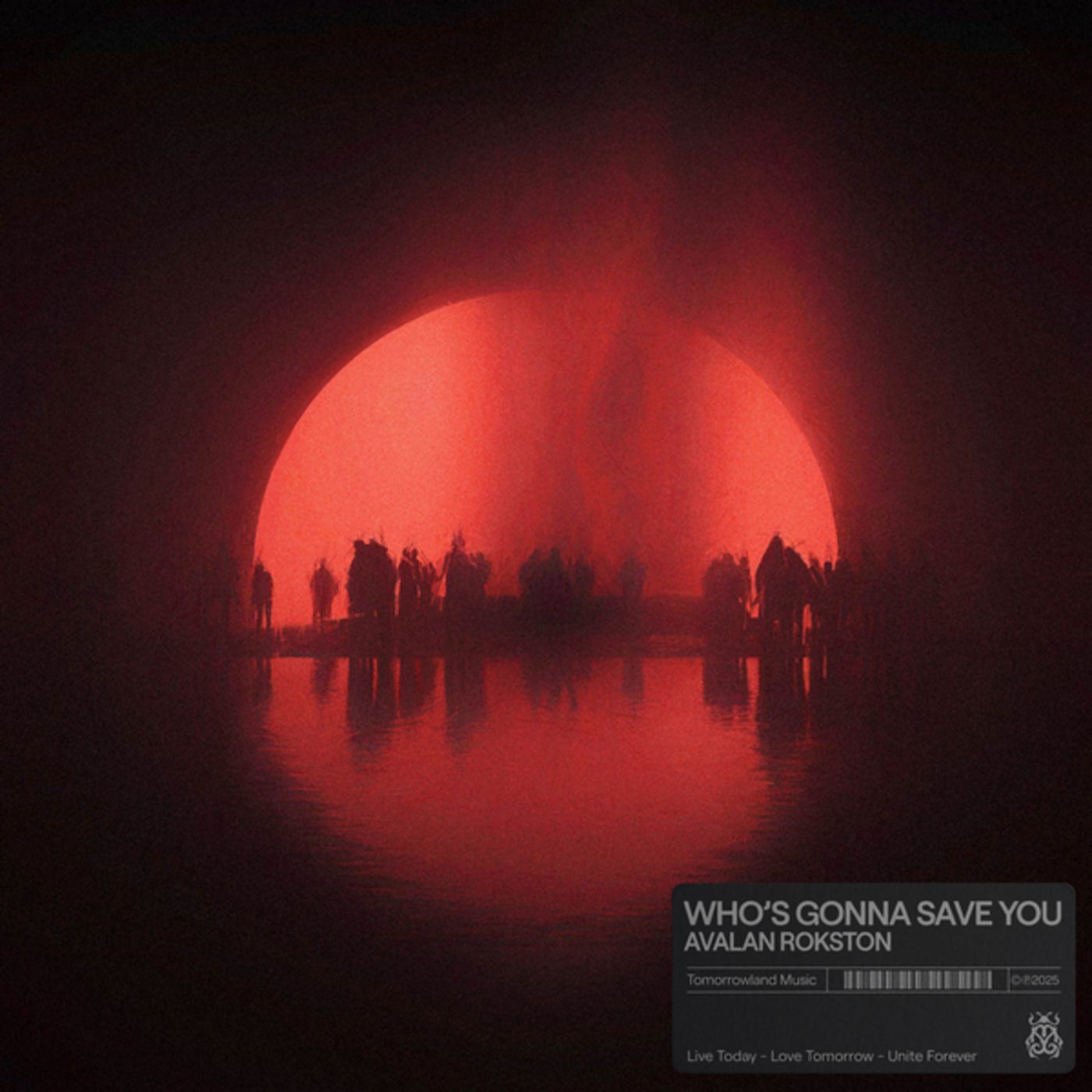 Cover - Rokston, Avalan, AVALAN ROKSTON - Who's Gonna Save You (Original Mix)