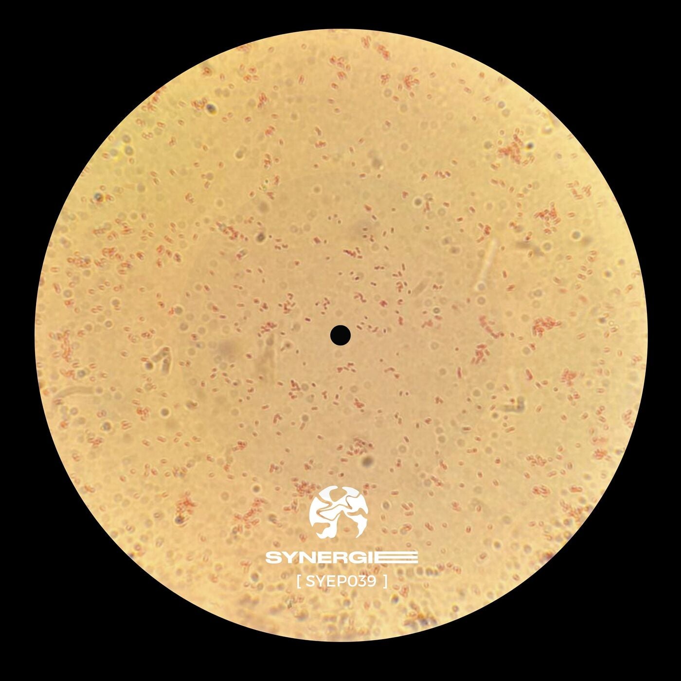 Cover - Tommaso Arcuri - Veleno Per La Mente I (SYEP039)