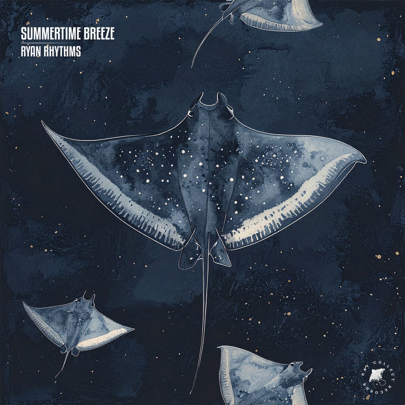 Cover - Ryan Rhythms - Summertime Breeze (Original Mix)