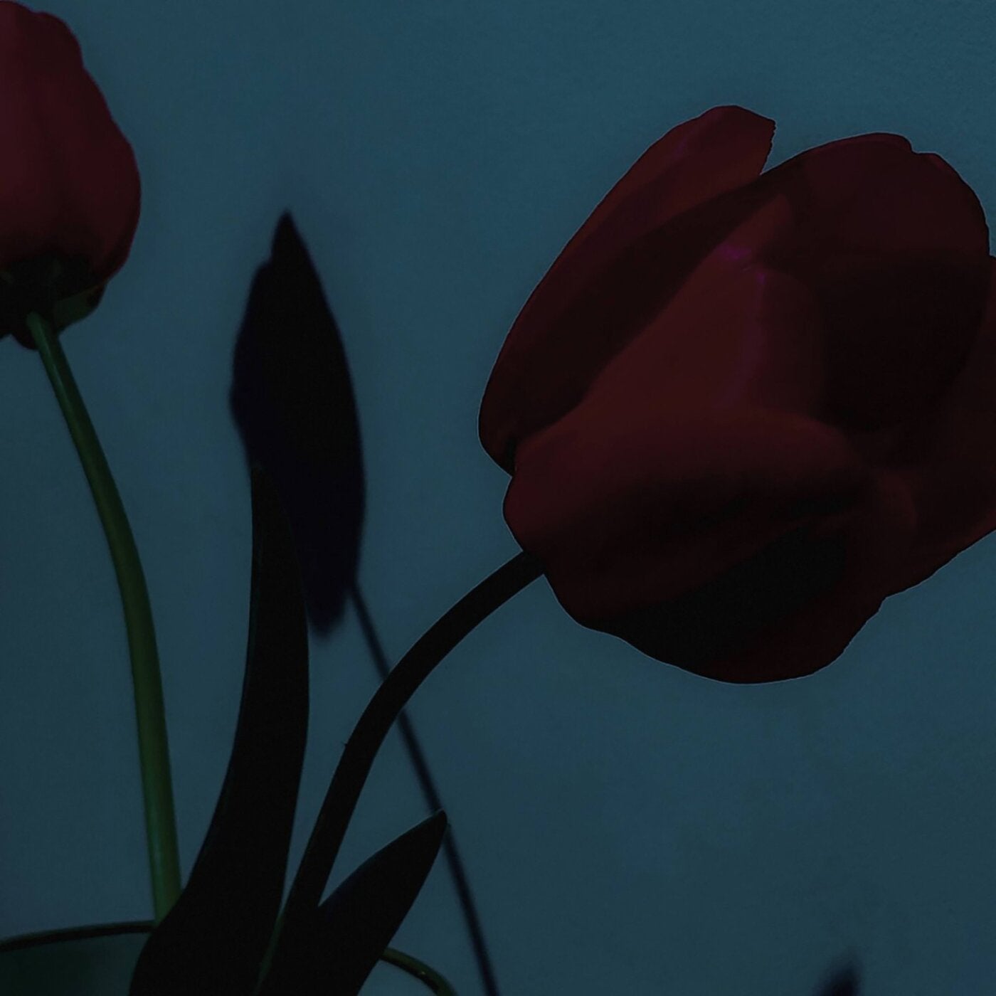 Cover - Exos - Hamster Found (Original Mix)