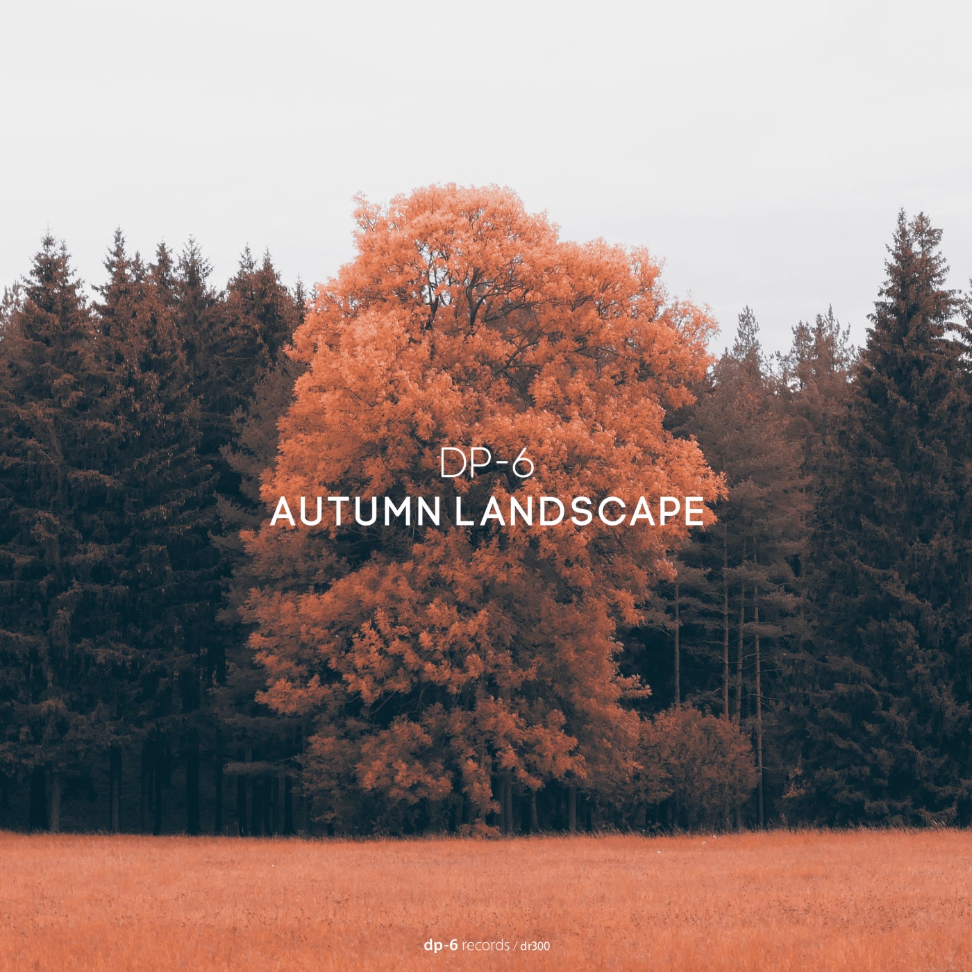 Cover - DP-6 - Autumn Landscape (Original Mix)