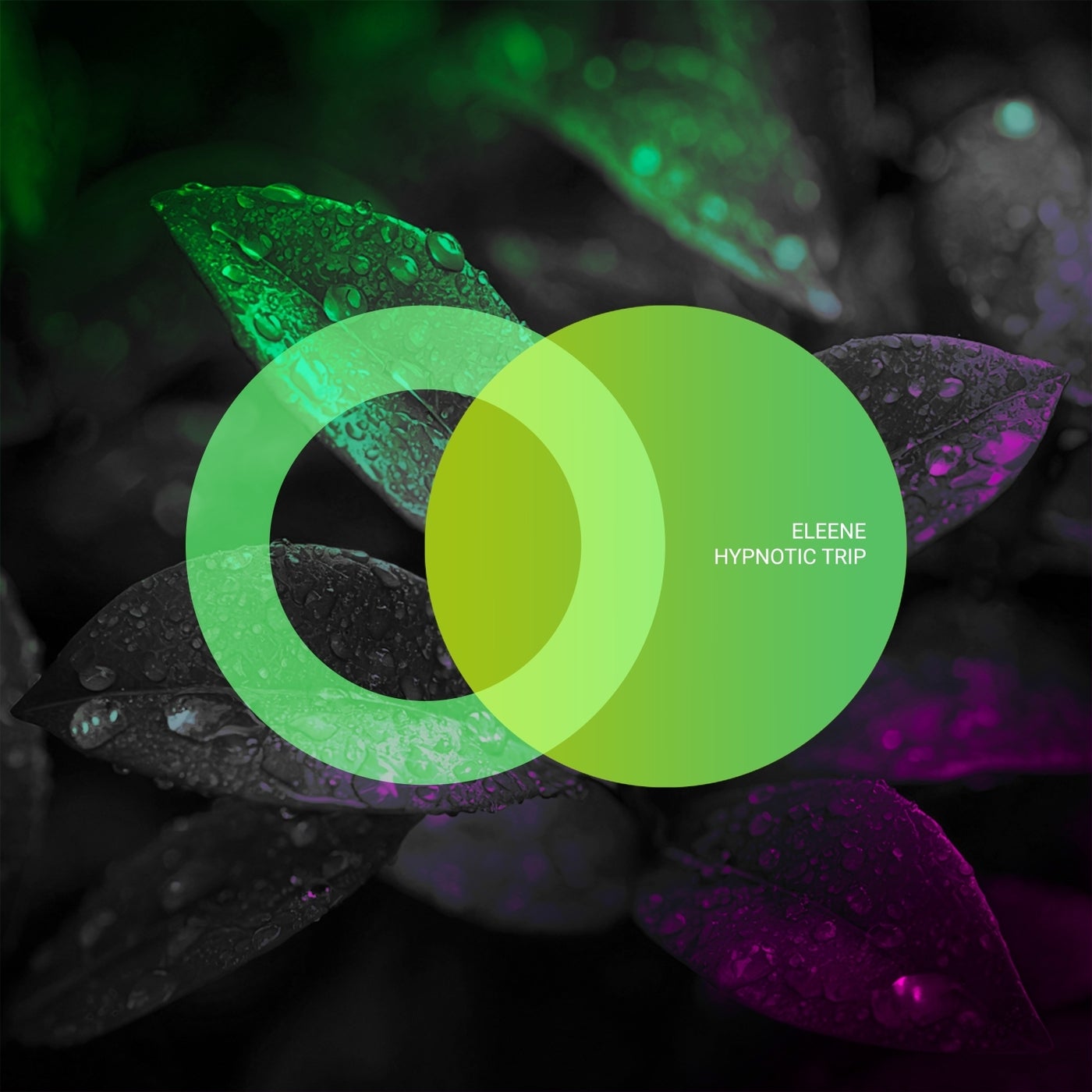 Cover - Eleene - Hypnotic Trip (Original Mix)