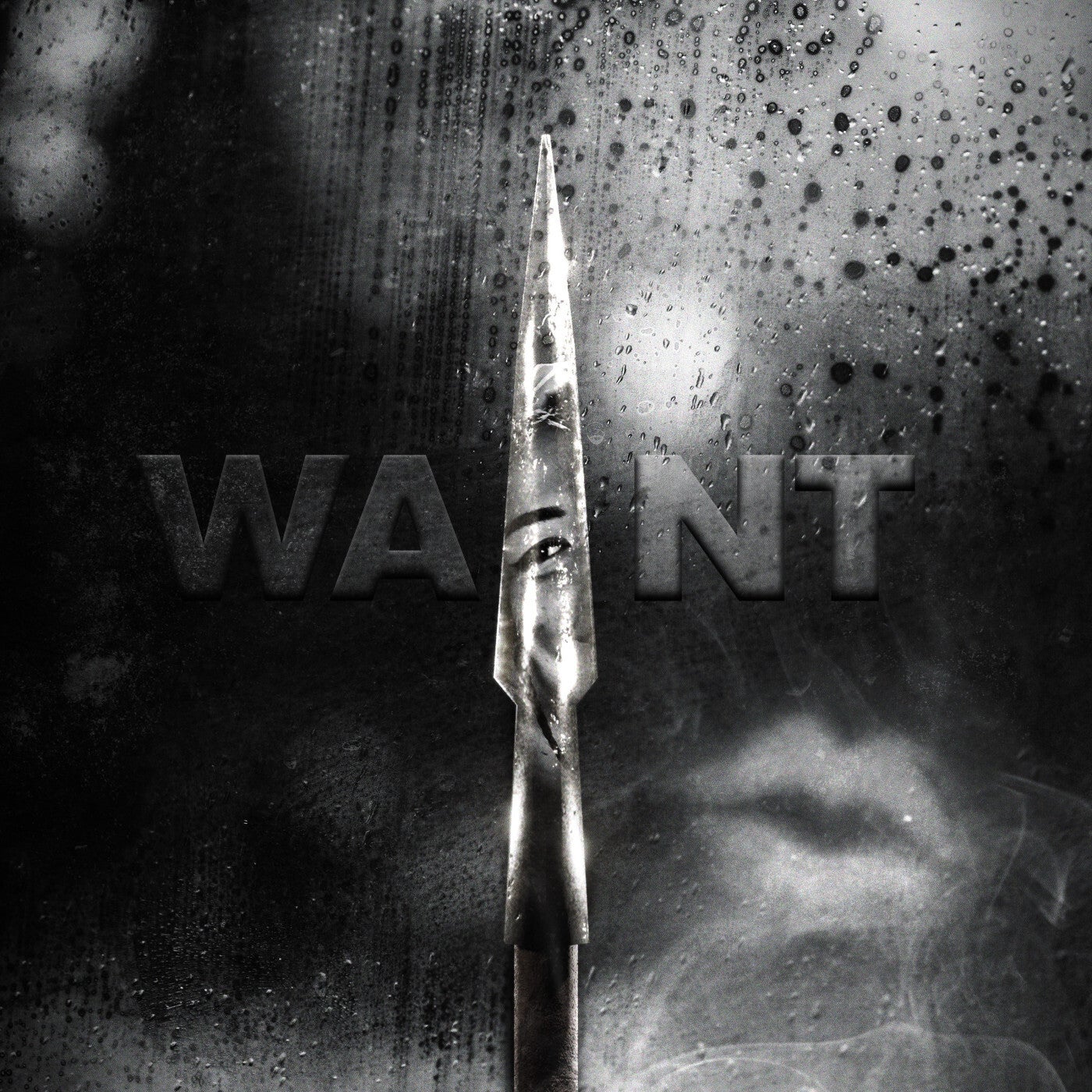 Cover - Pierce, Haylee Wood - WANT (Original Mix)