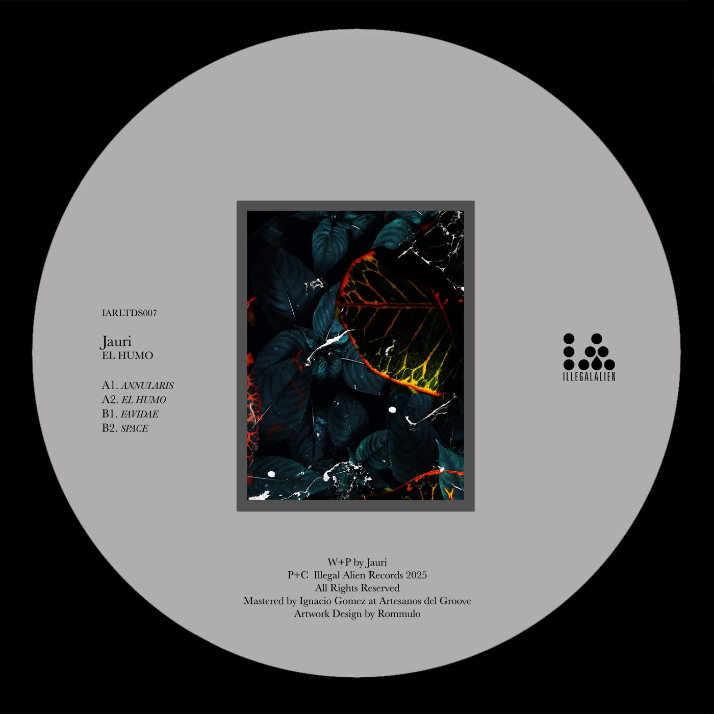 Cover - Jauri - El Humo (Original Mix)