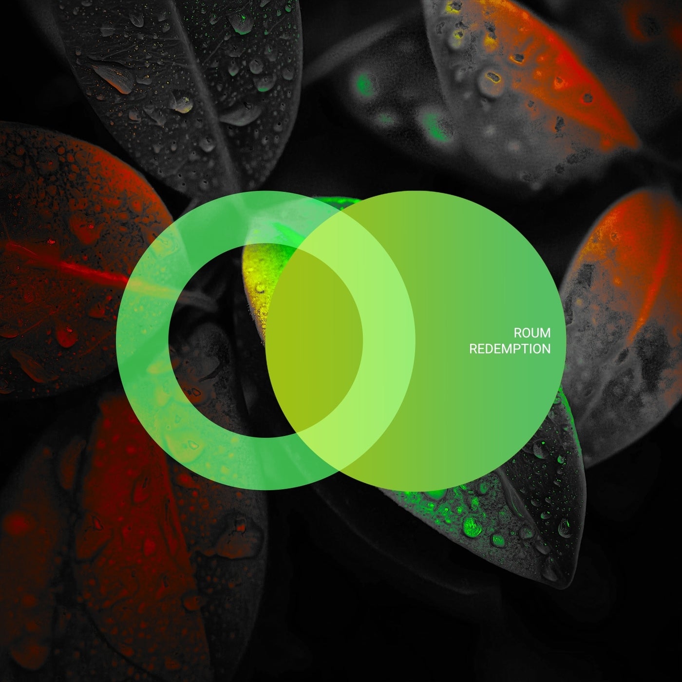 Cover - Roum - Sweet Nothing (Original Mix)