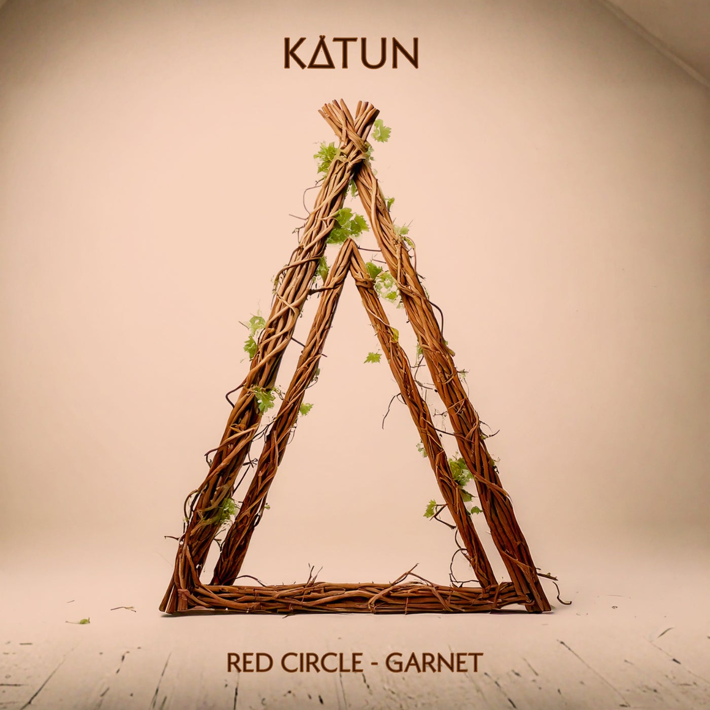 Cover - Red Circle - Garnet (Original Mix)