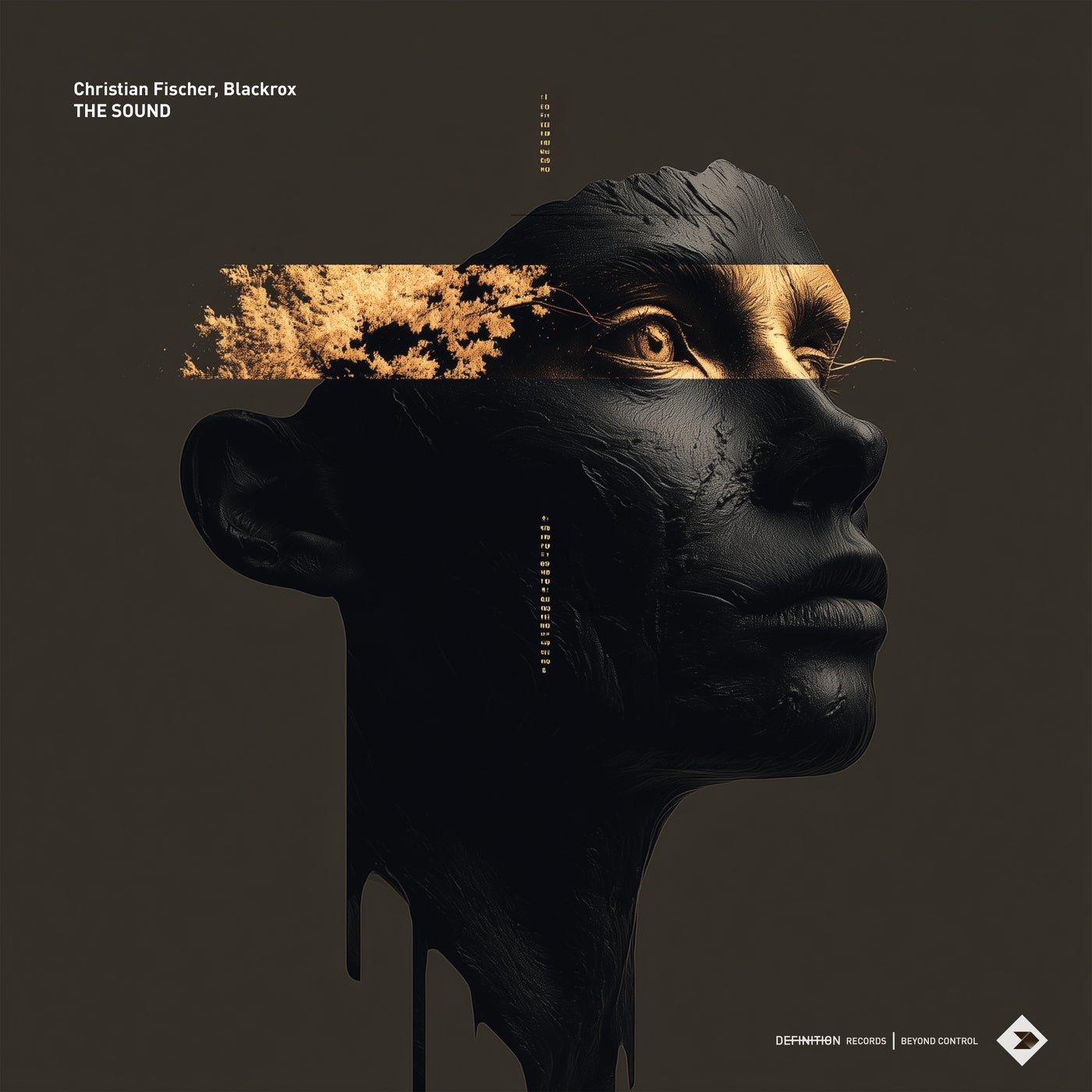 Cover - Christian Fischer, Blackrox - The Sound (Original Mix)