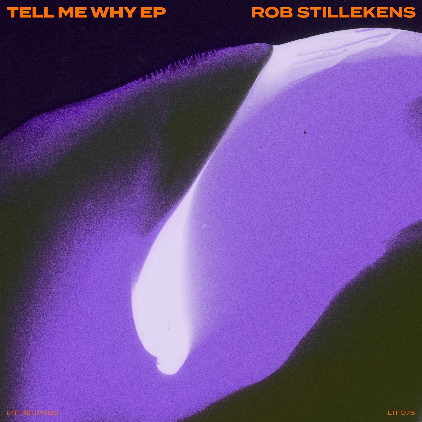 Cover - Rob Stillekens - Tell Me Why (Extended Mix)