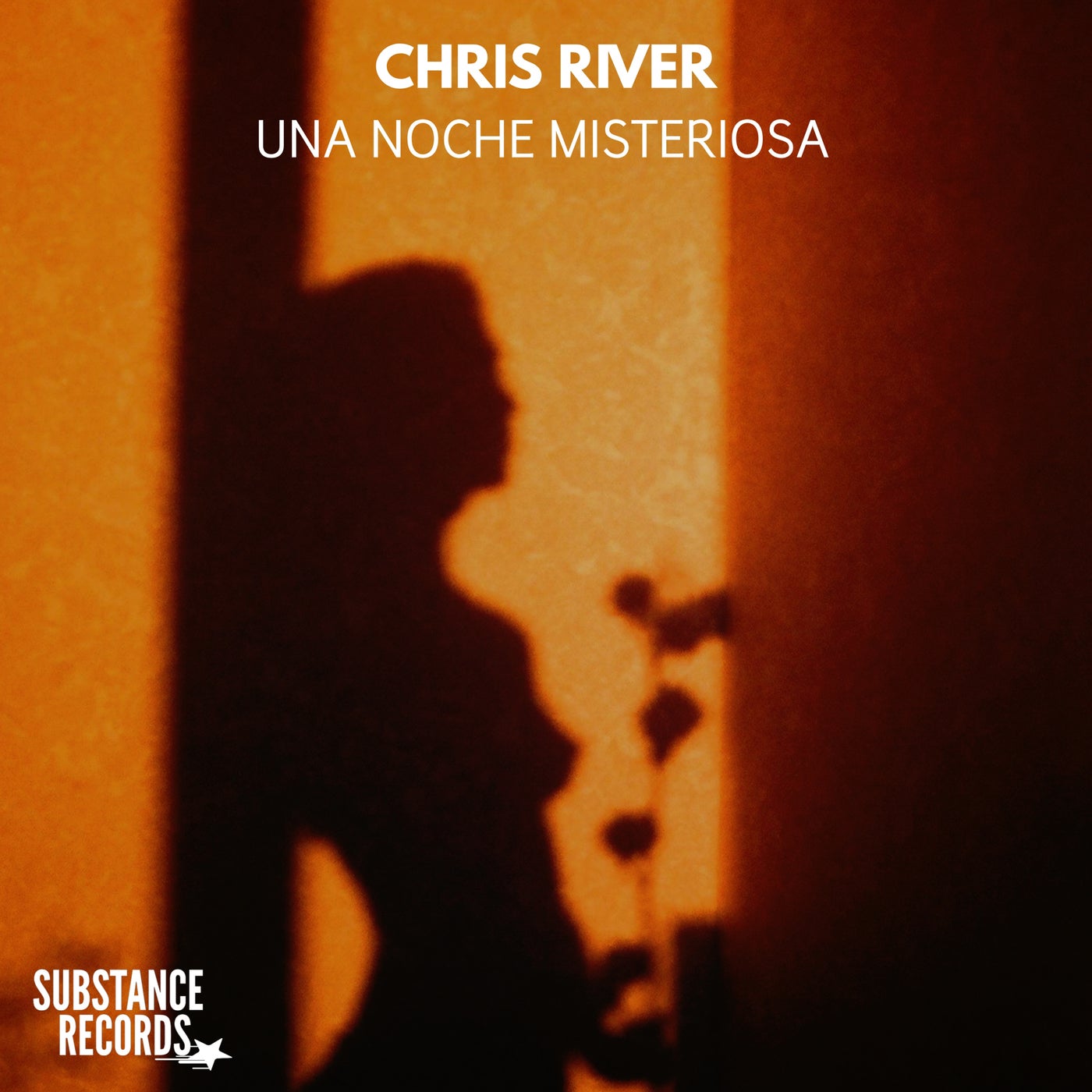Cover - Chris River - Una Noche Misteriosa (Original Mix)