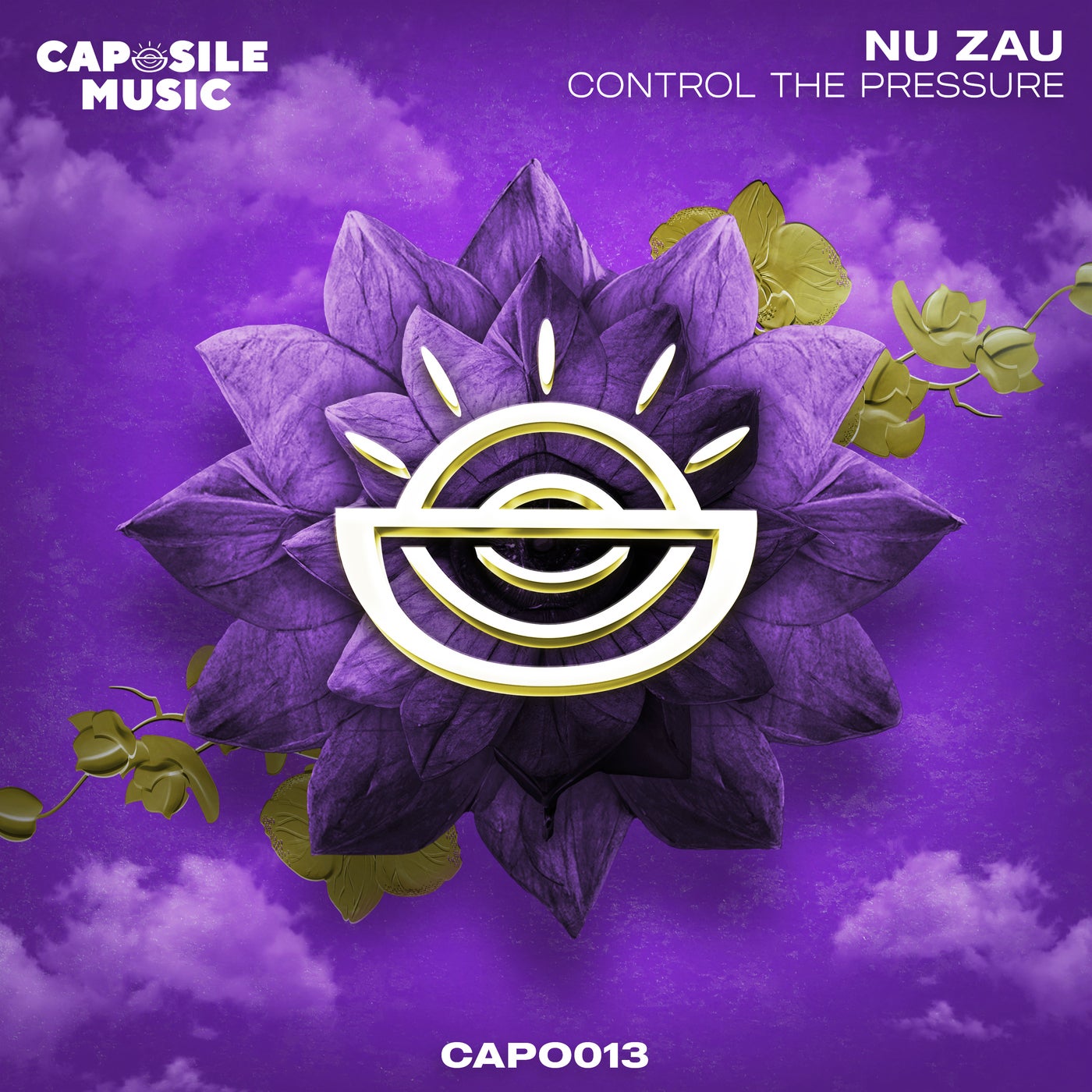 Cover - Nu Zau - Control the Pressure (Original Mix)