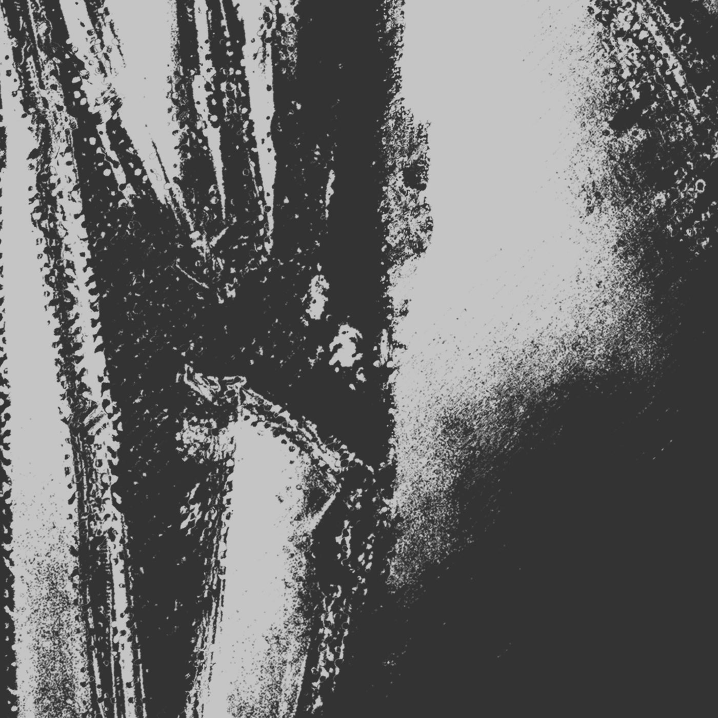 Cover - Cesco, Nina (UK) - Rigid Lord (Original Mix)