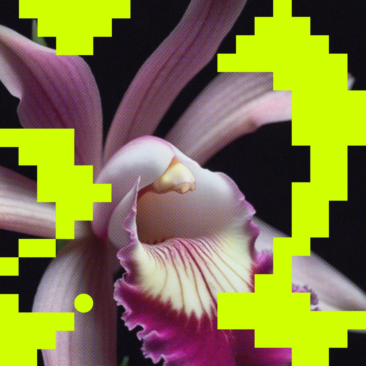 Cover - Milio - Erosie (Original Mix)