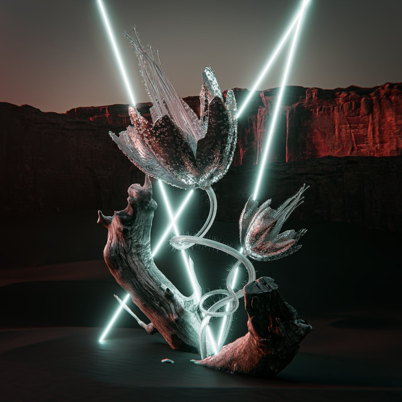 Cover - VALON (SE) - Amina (Original)