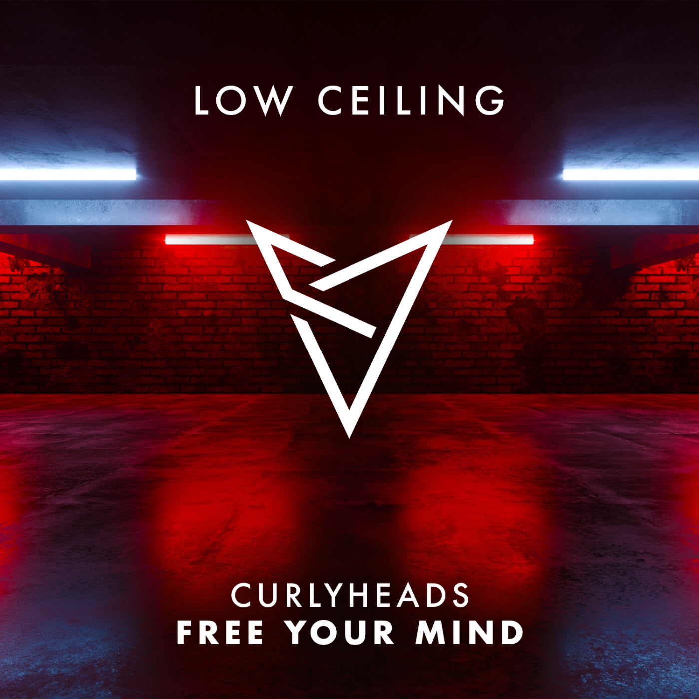 Cover - Curlyheads - FREE YOUR MIND (Extended Mix)