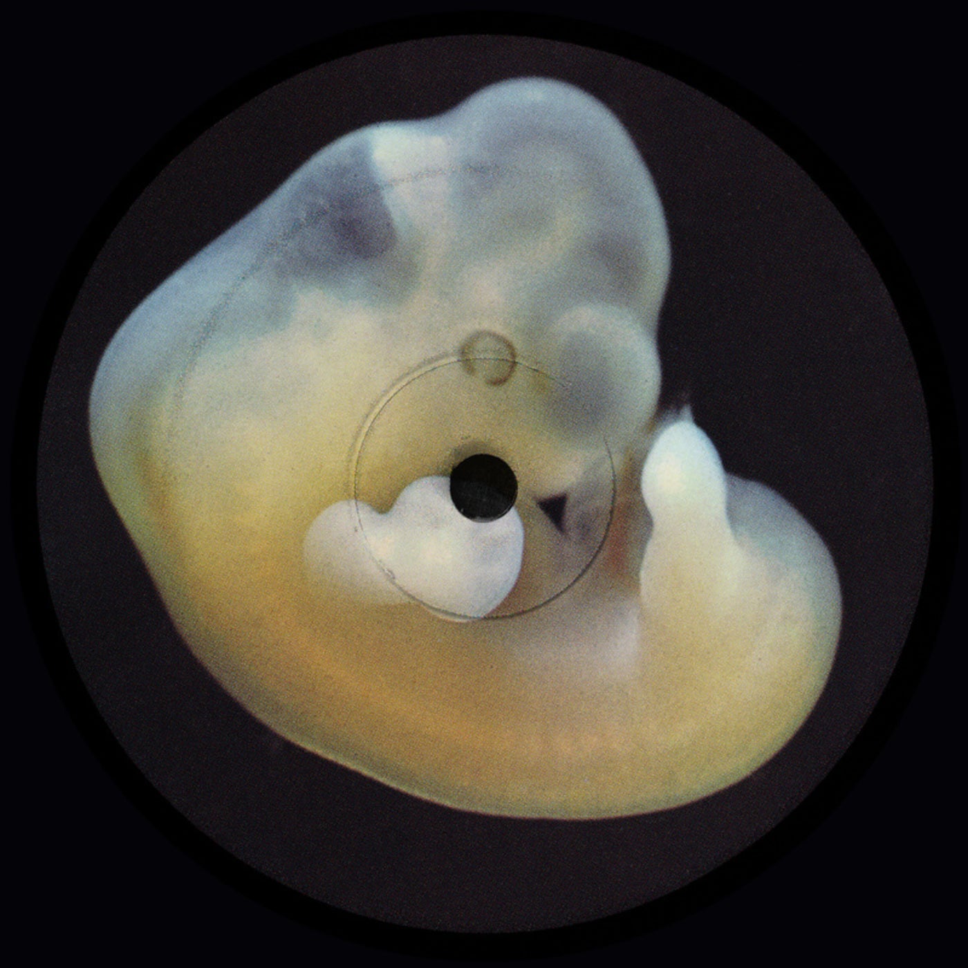 Cover - Bergqvist - Your Planet (Original Mix)