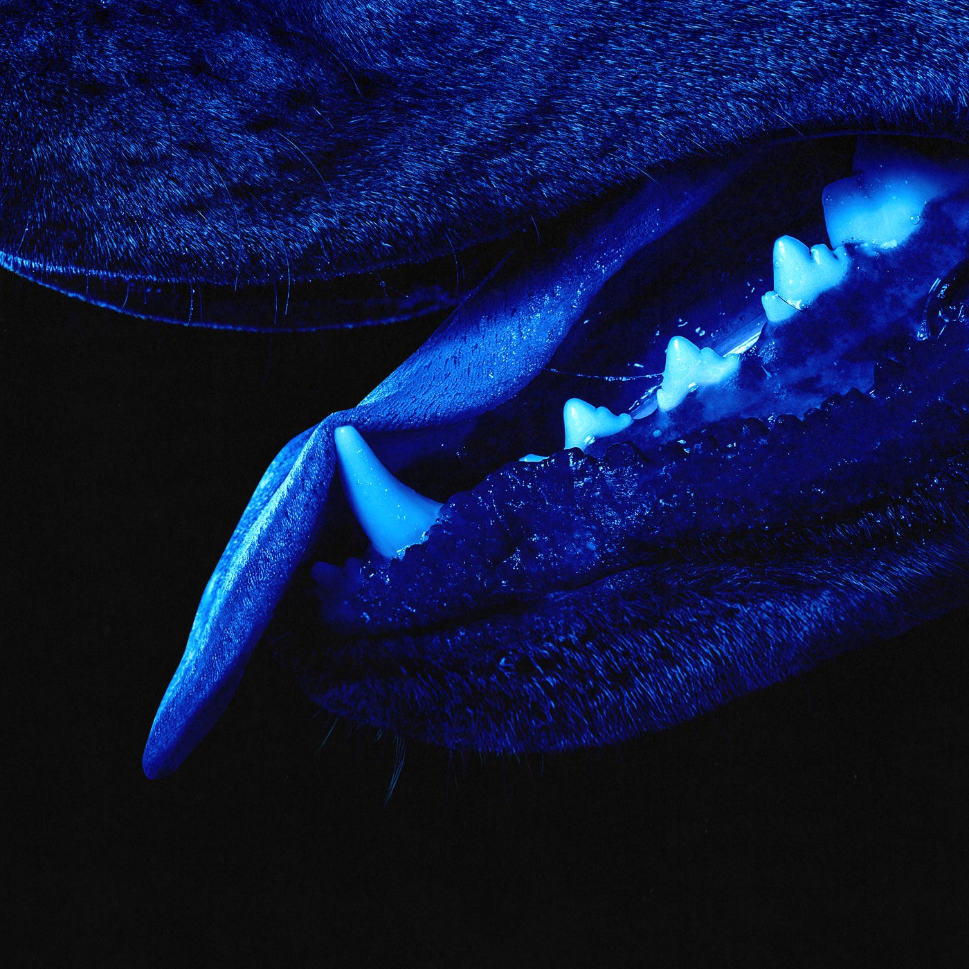 Cover - Overmono - Paradise Runner (Original Mix)