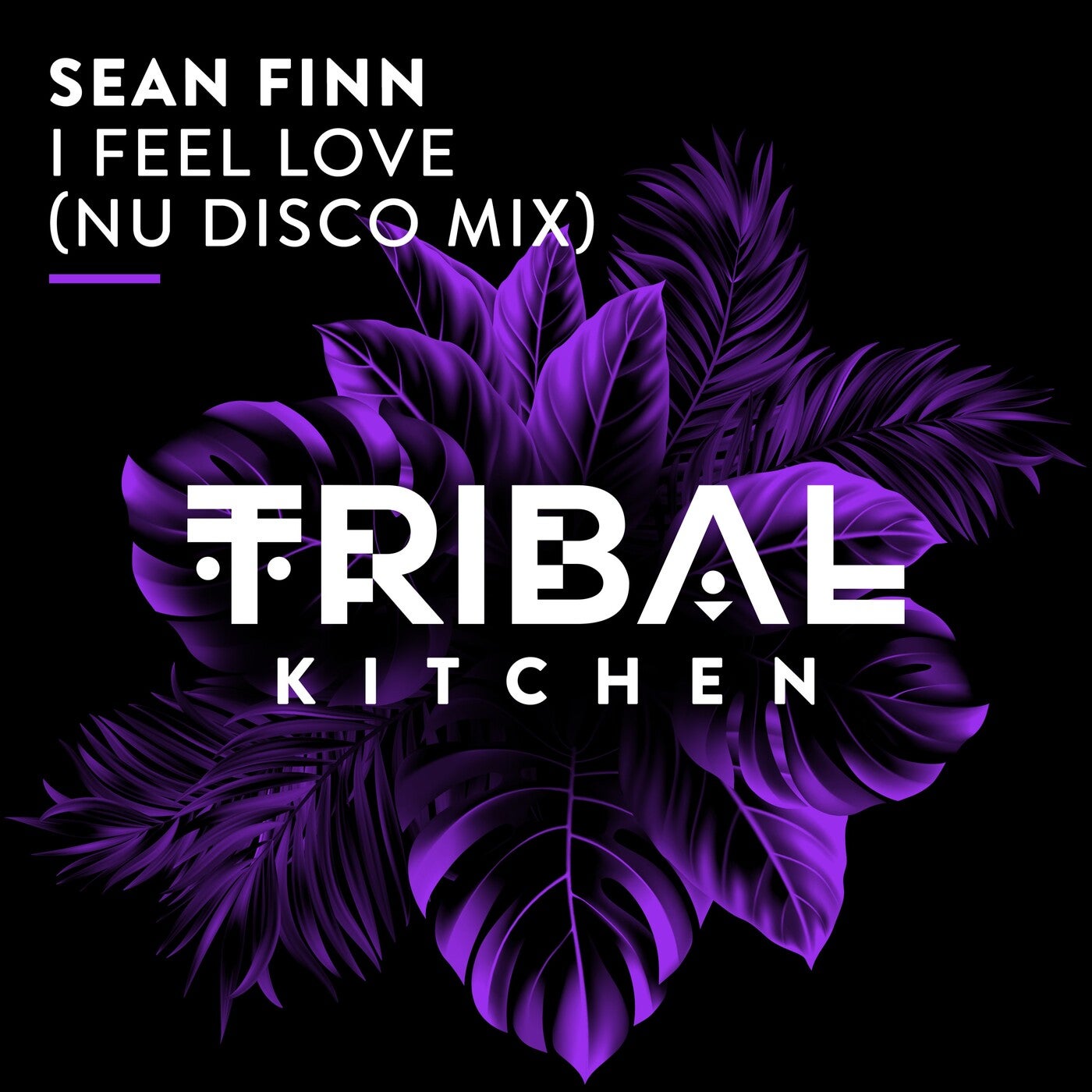 Cover - Sean Finn - I Feel Love (Nu Disco Extended Mix)