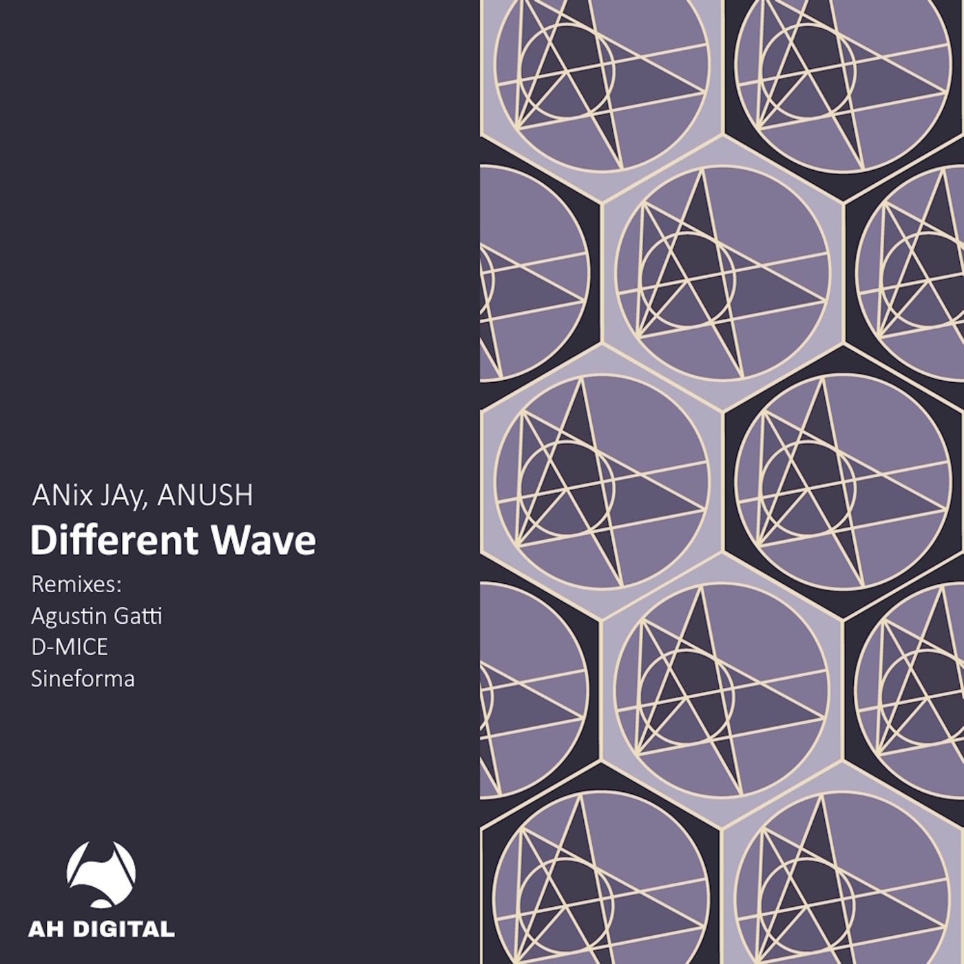 Cover - ANix JAy, ANUSH - Different Wave (D-MICE Remix)