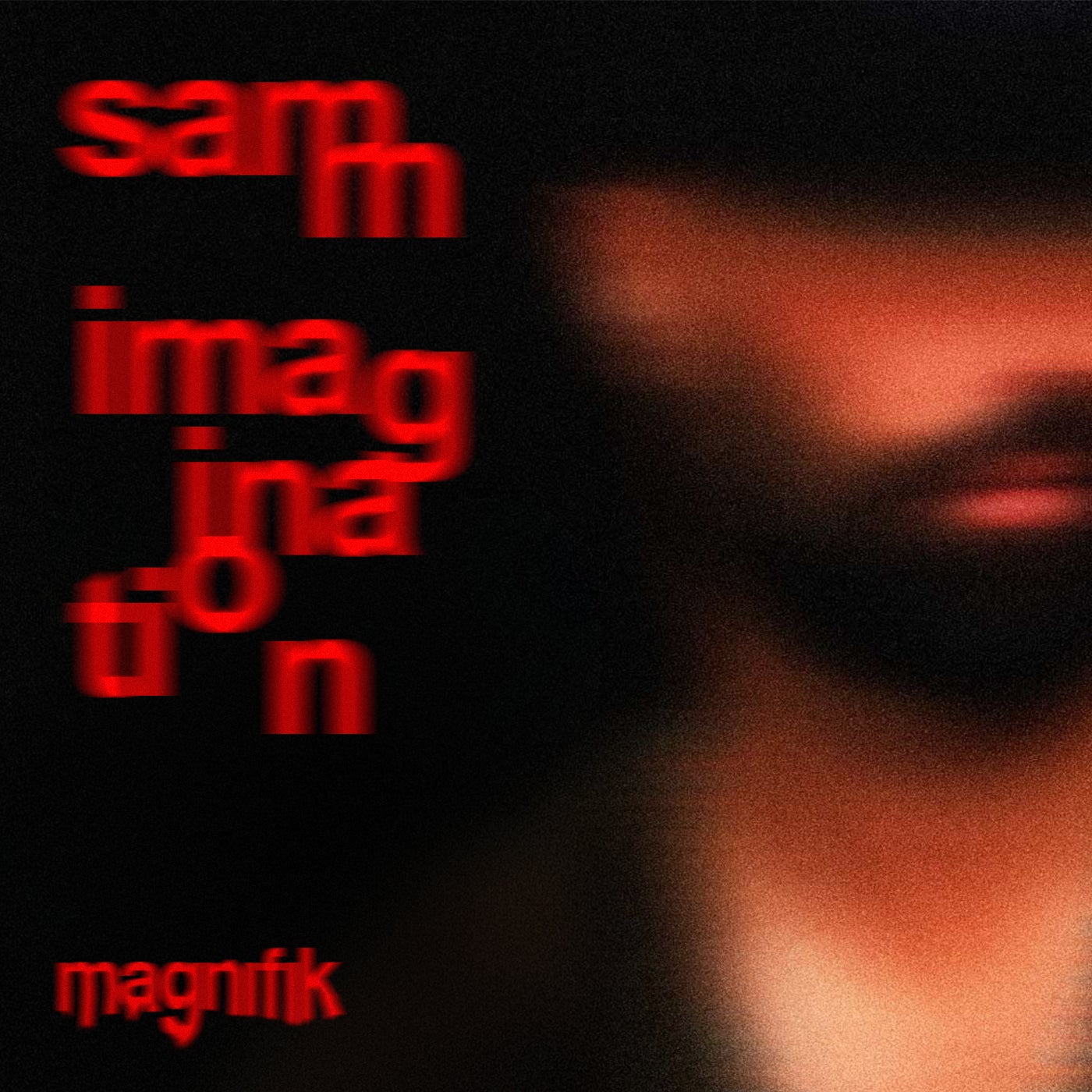 Cover - Samm (BE) - Imagination (Original Mix)