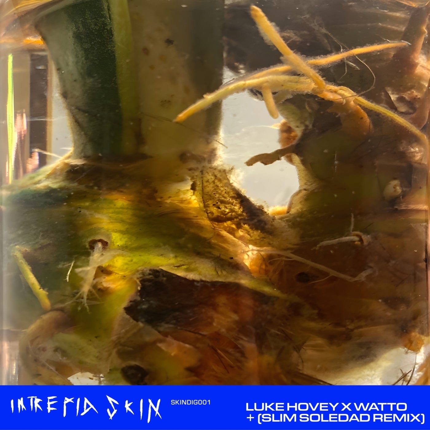 Cover - WaTTO, Luke Hovey - Trópico Eléctrico (Slim Soledad Remix)