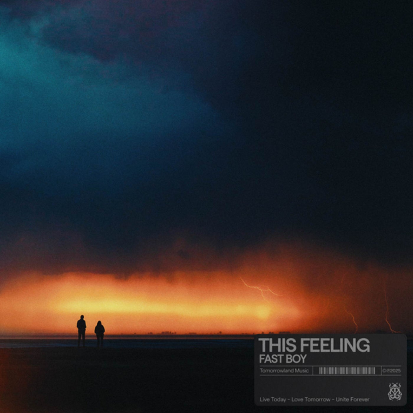 Cover - FAST BOY - This Feeling (Original Mix)