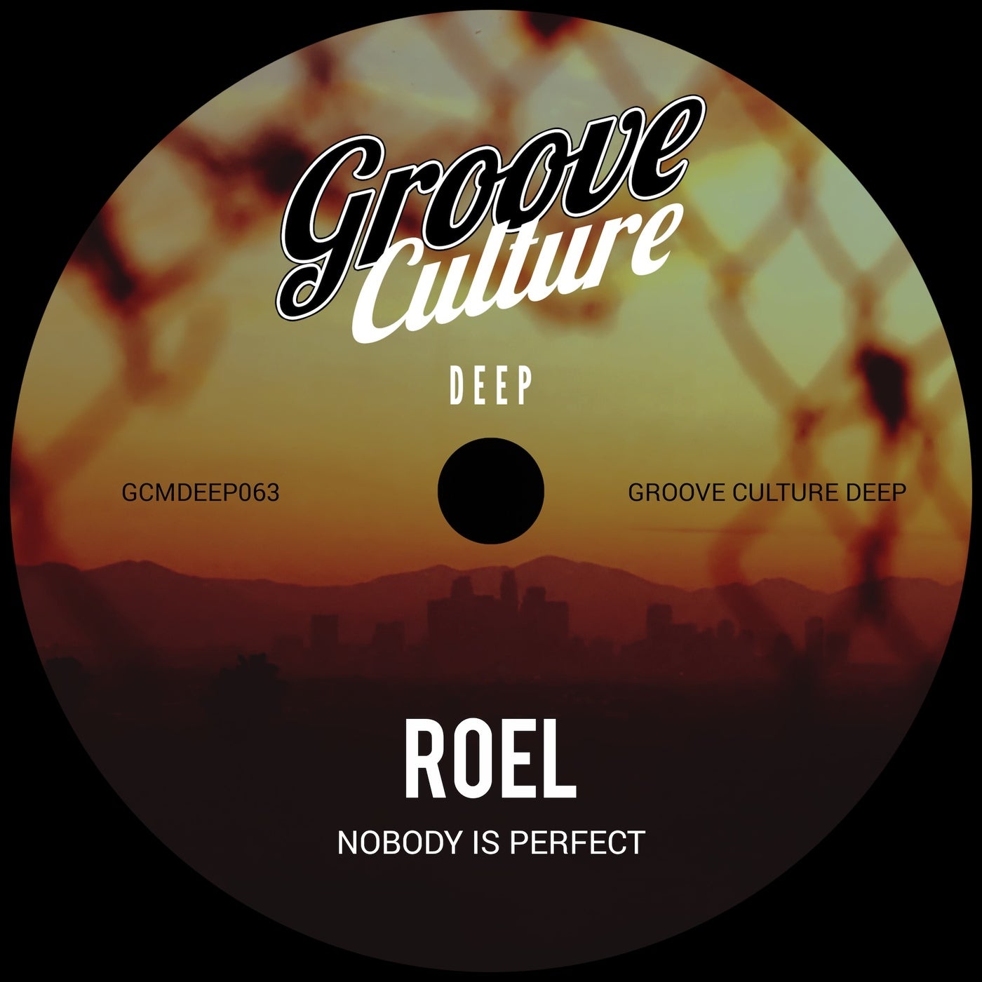 Cover - Roel - Nobody Is Perfect (Extended Mix)