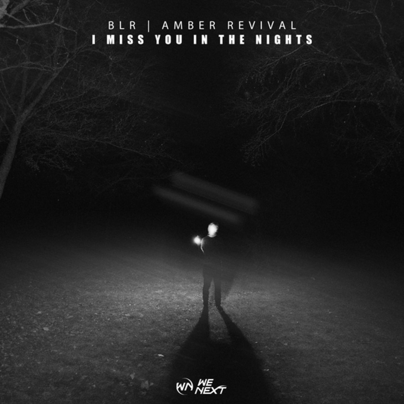 Cover - BLR, Amber Revival - I Miss You In The Nights (Extended Mix)