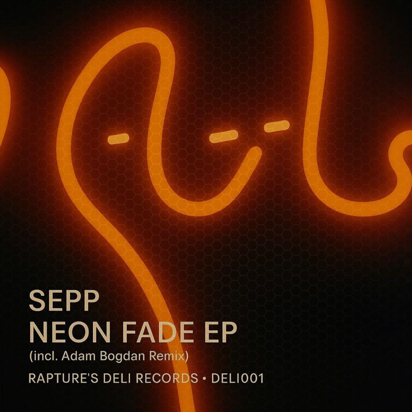 Cover - Sepp - Neon Fade (Original Mix)