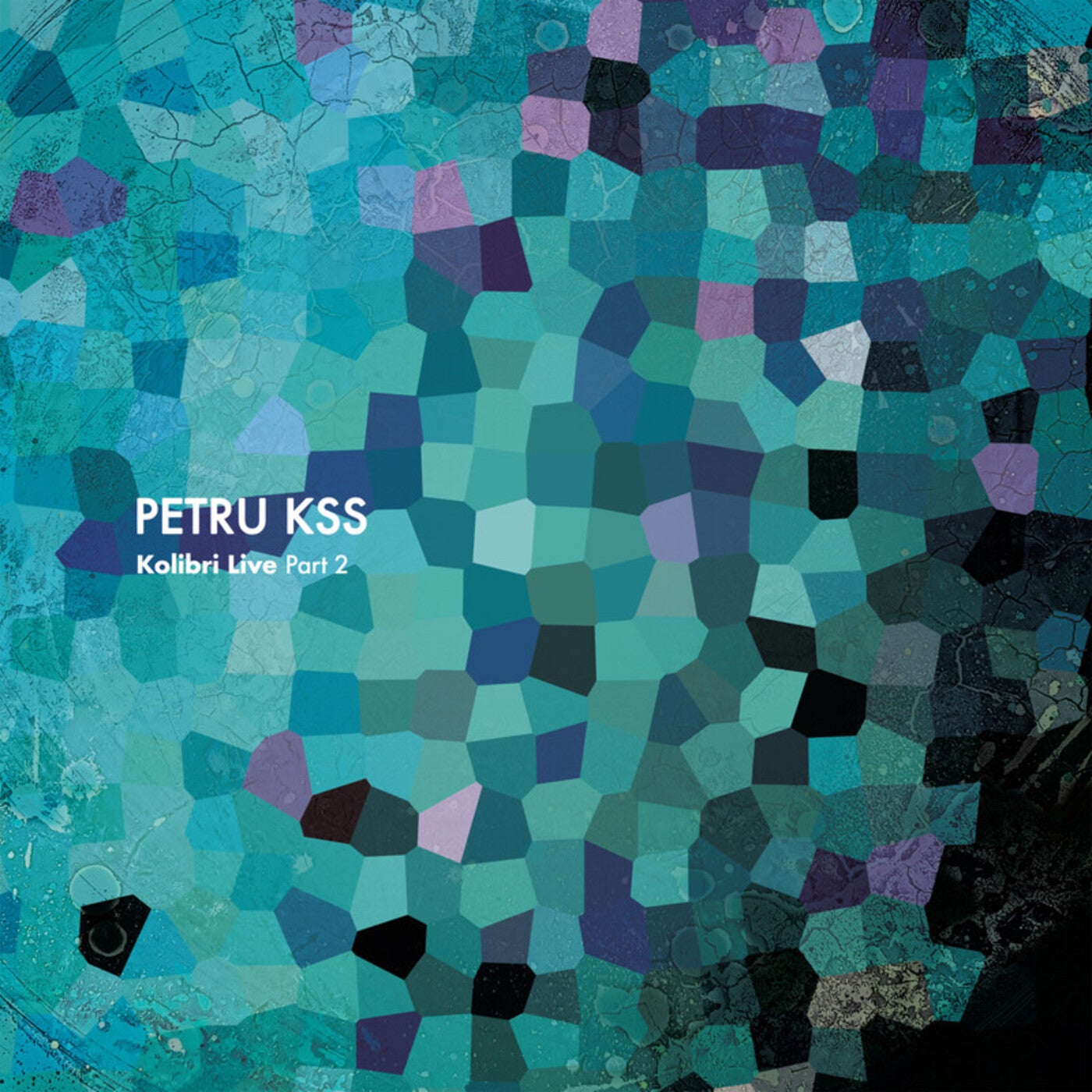 Cover - PETRU KSS - Ordelion (Arnaud Le Texier Remix)