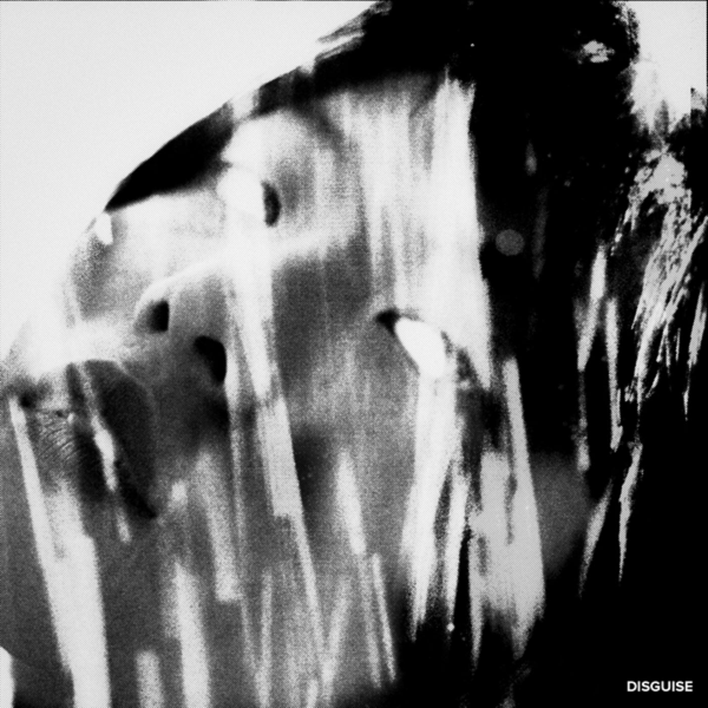 Cover - Borne, Taiki Nulight - Disguise (Original Mix)