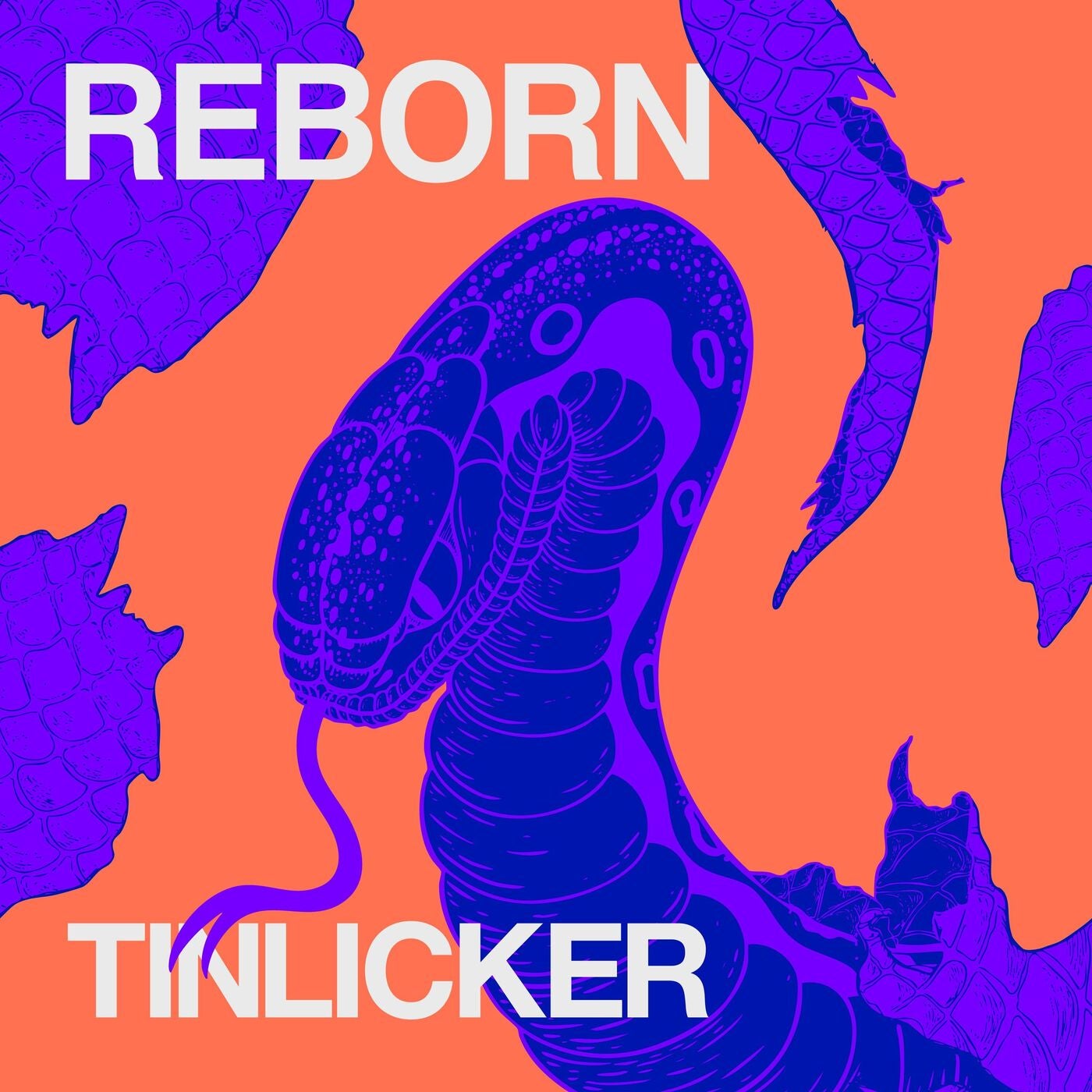 Cover - Tinlicker - Reborn (Extended Version)