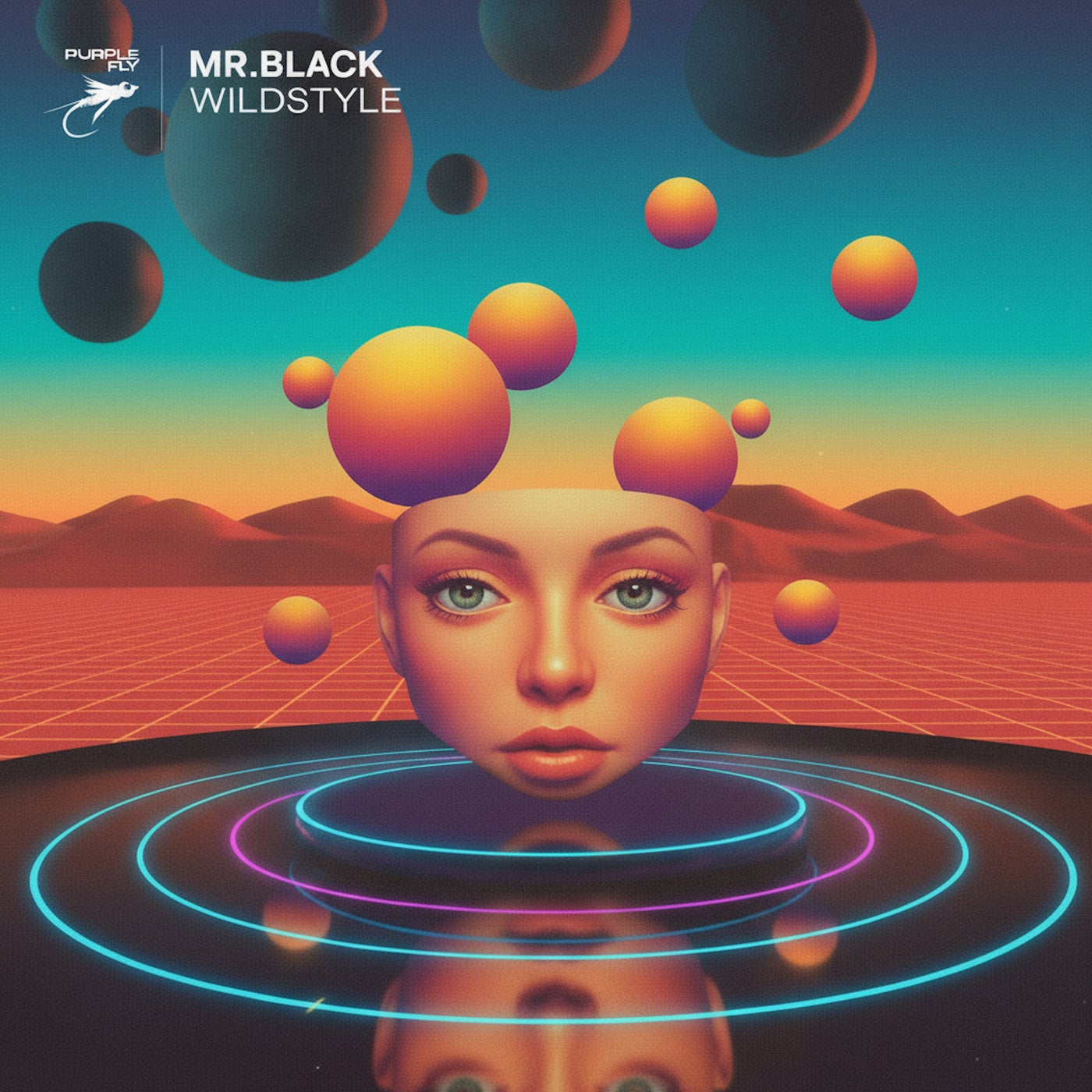 Cover - Mr.Black - Wildstyle (Extended Mix)