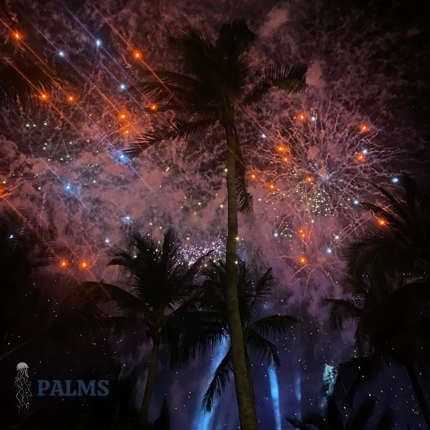 Cover - Rapossa, Shellsee - Palms (Extended Mix)