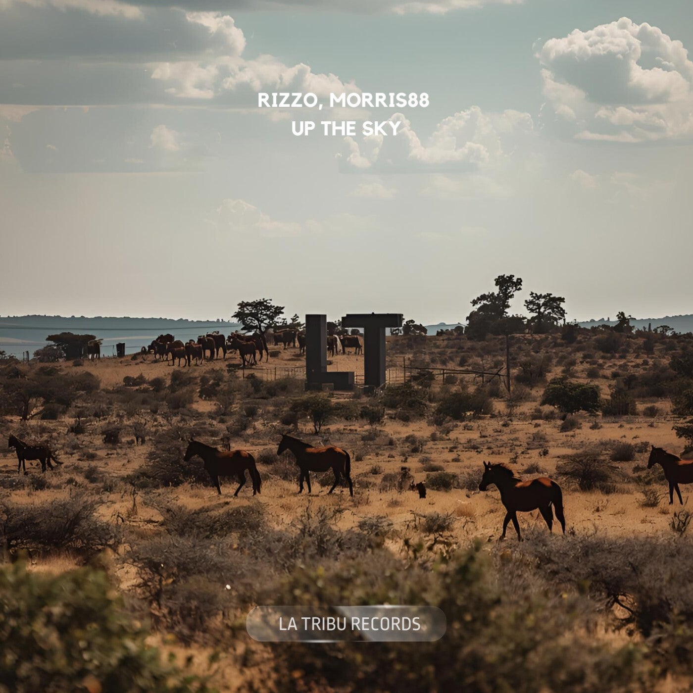 Cover - Rizzo (Col), Morris88 - Up the Sky (Original Mix)