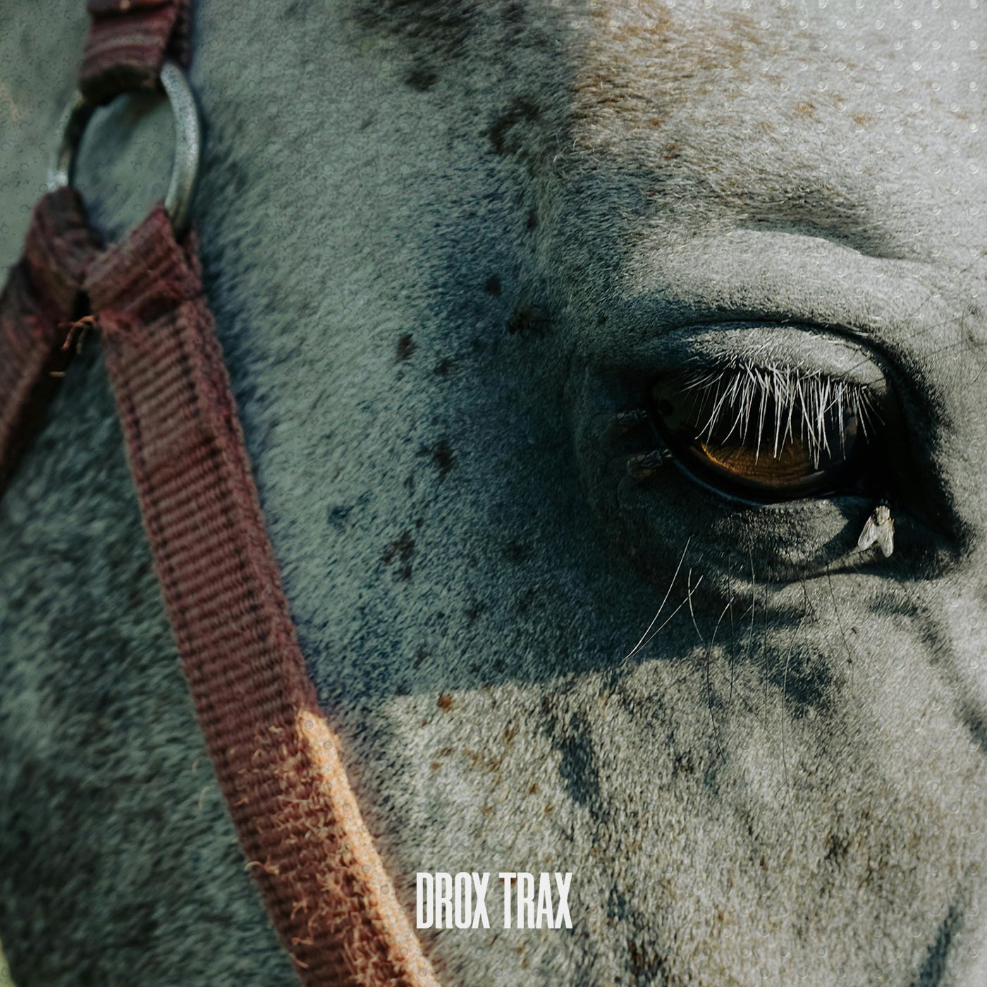 Cover - War DEN - Sudaka (RUTHLESS Remix)